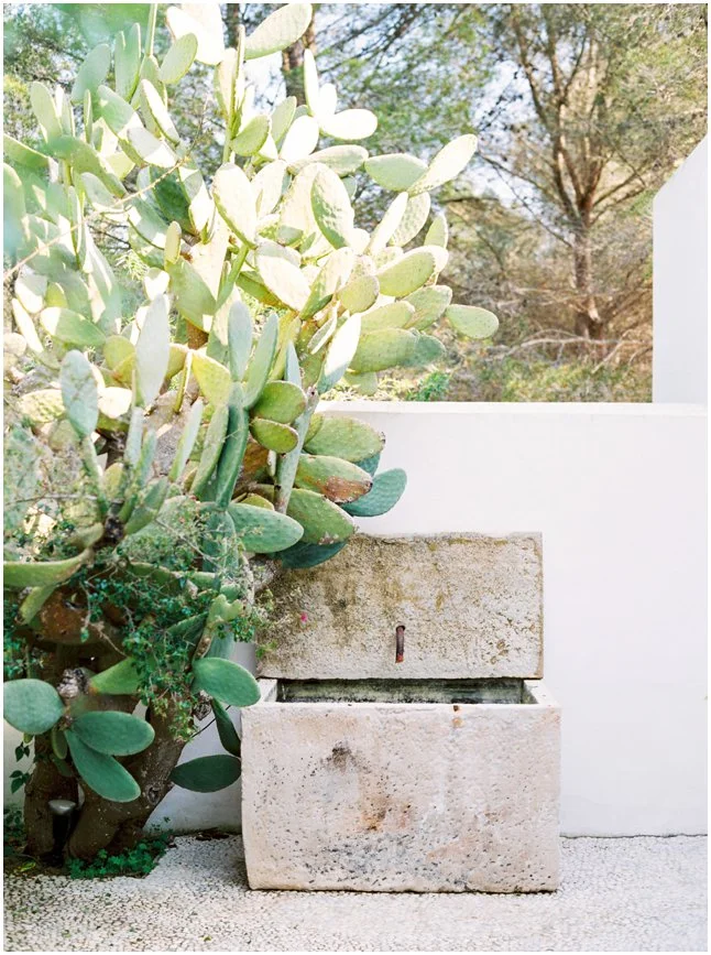 Ibiza home stylish villas