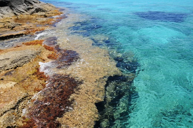 Ibiza Formentera Baleares Blue Water