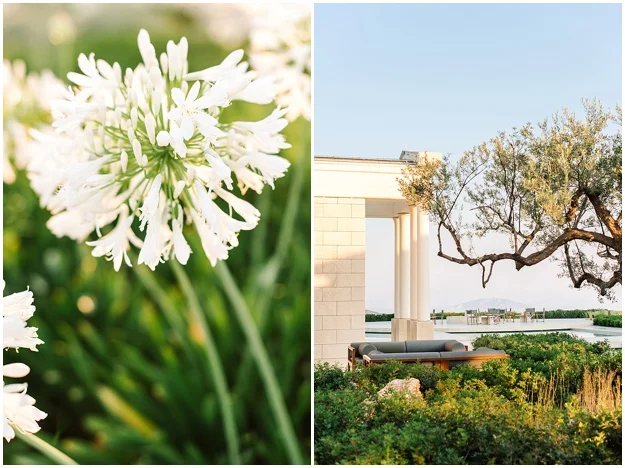 Amanzoe_Greece_Sunrise_AtlasMagazine