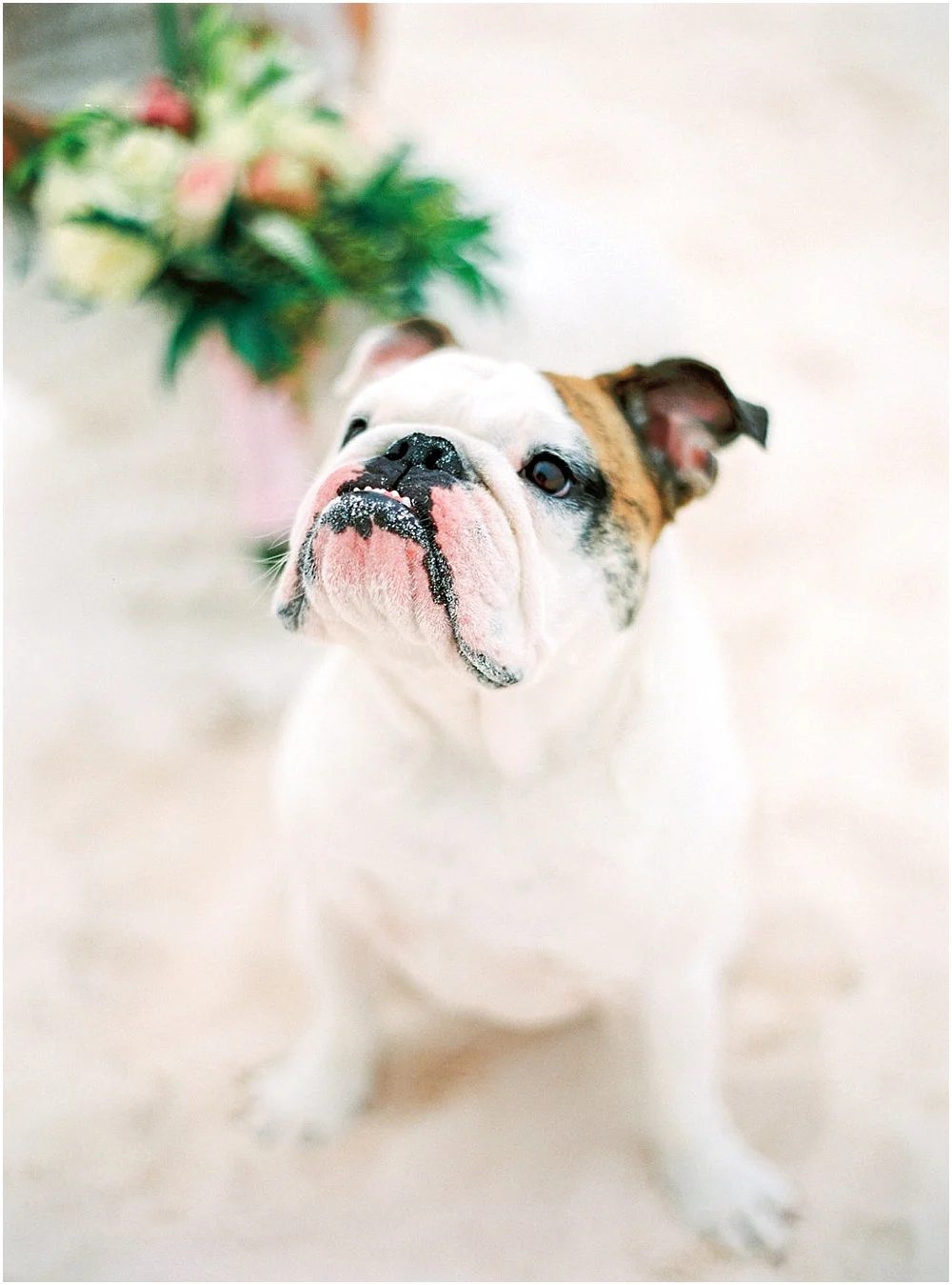 Briland_HarbourIsland_WEDDING4.jpg