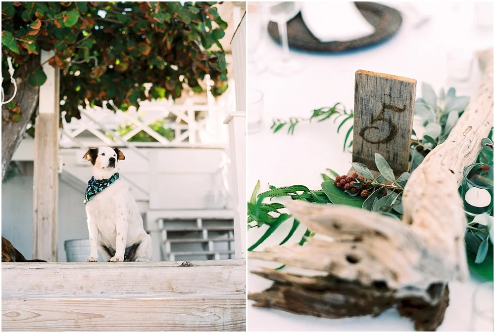 Briland_HarbourIsland_WEDDING30.jpg