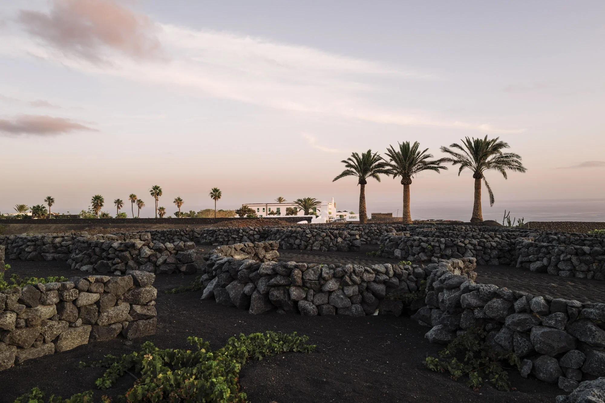 CezarLanzarote_AnaLui-17.jpg