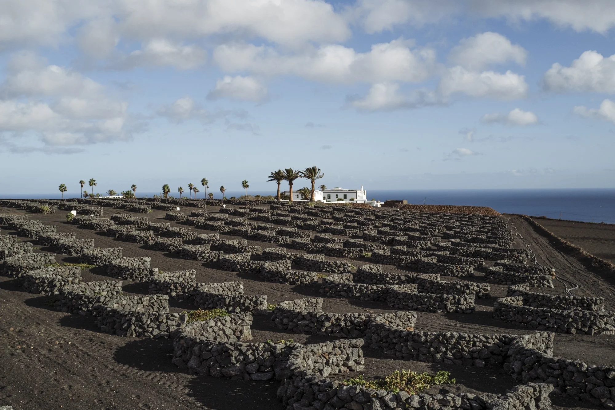 CezarLanzarote_AnaLui-25.jpg