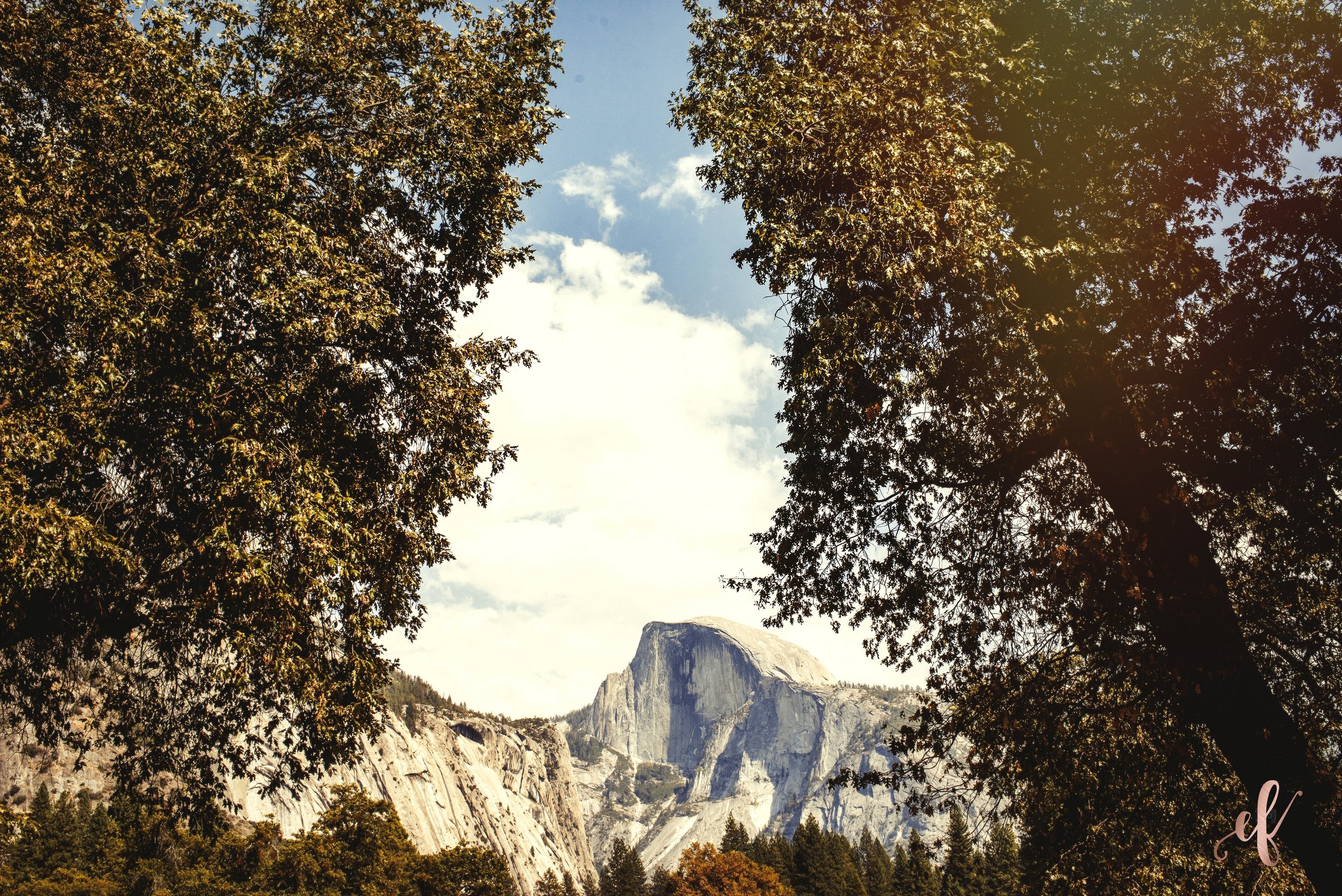 San Diego Portrait Photography | Yosemite National Park