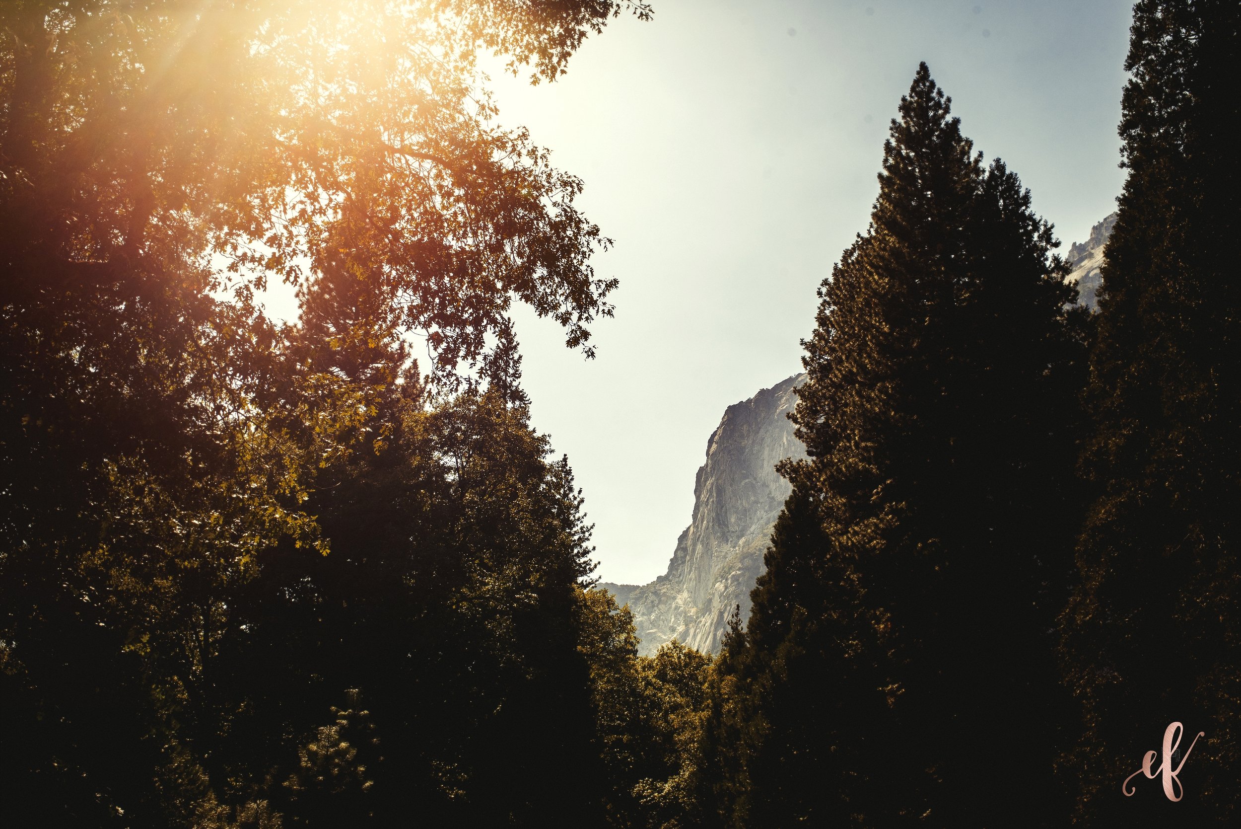 San Diego Portrait Photography | Yosemite National Park