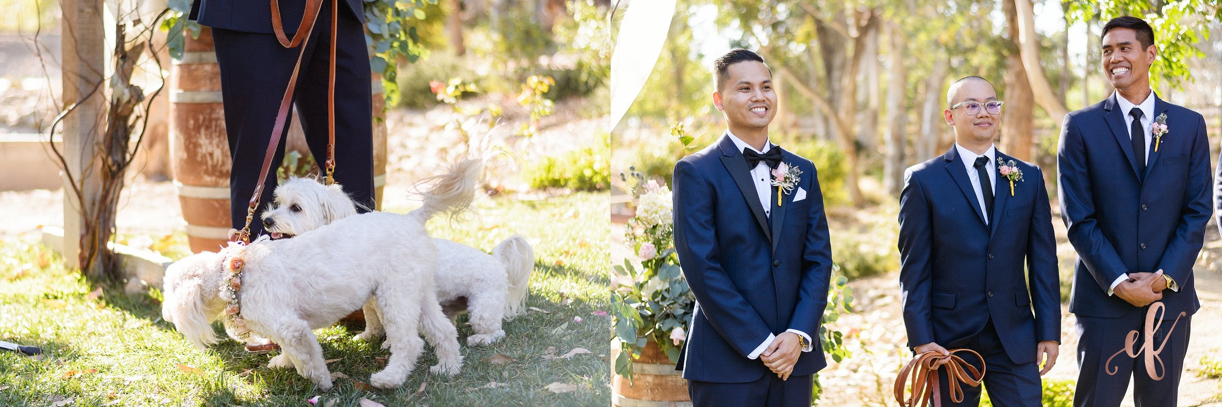 San Diego Wedding Photography | Temecula Coachhouse
