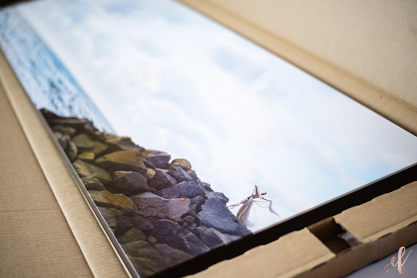 san diego portrait photography | Giant Canvas Print