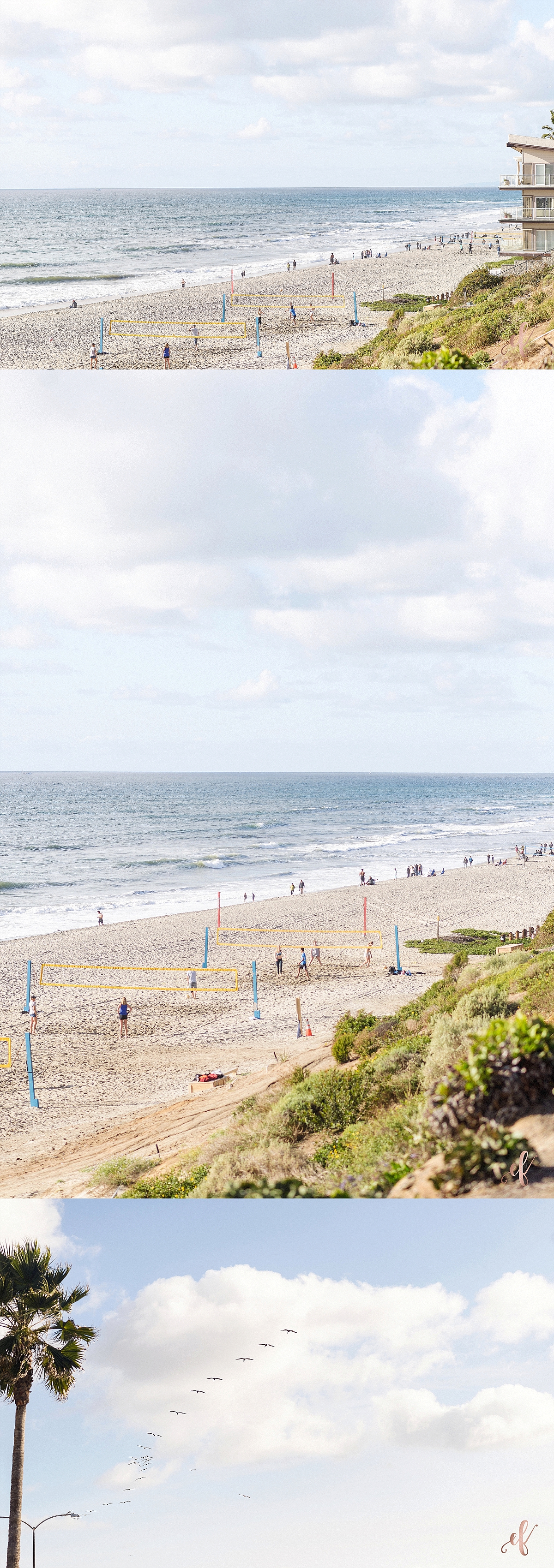 san diego proposal photography | Ernie & Fiona Photography