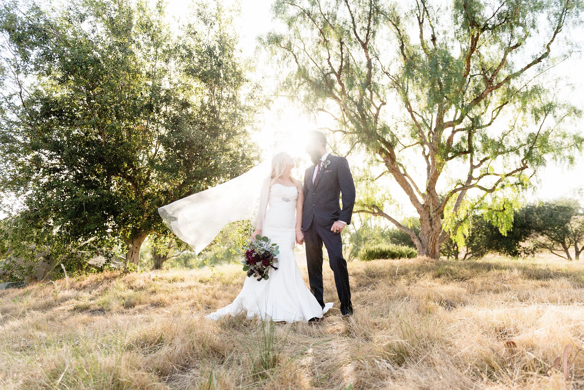 Video: Teaser Video from Jordan and Stephanie Wedding