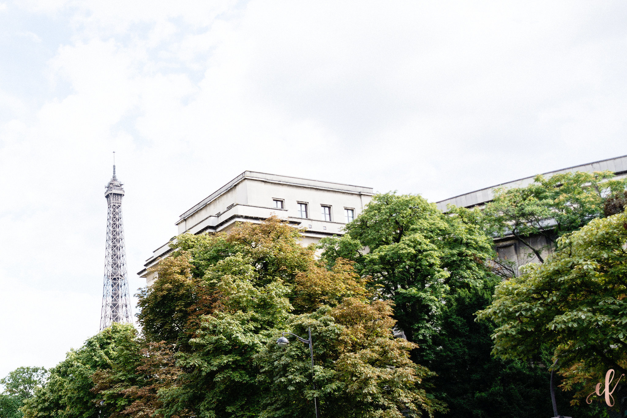 San Diego Wedding Photographers | Paris France