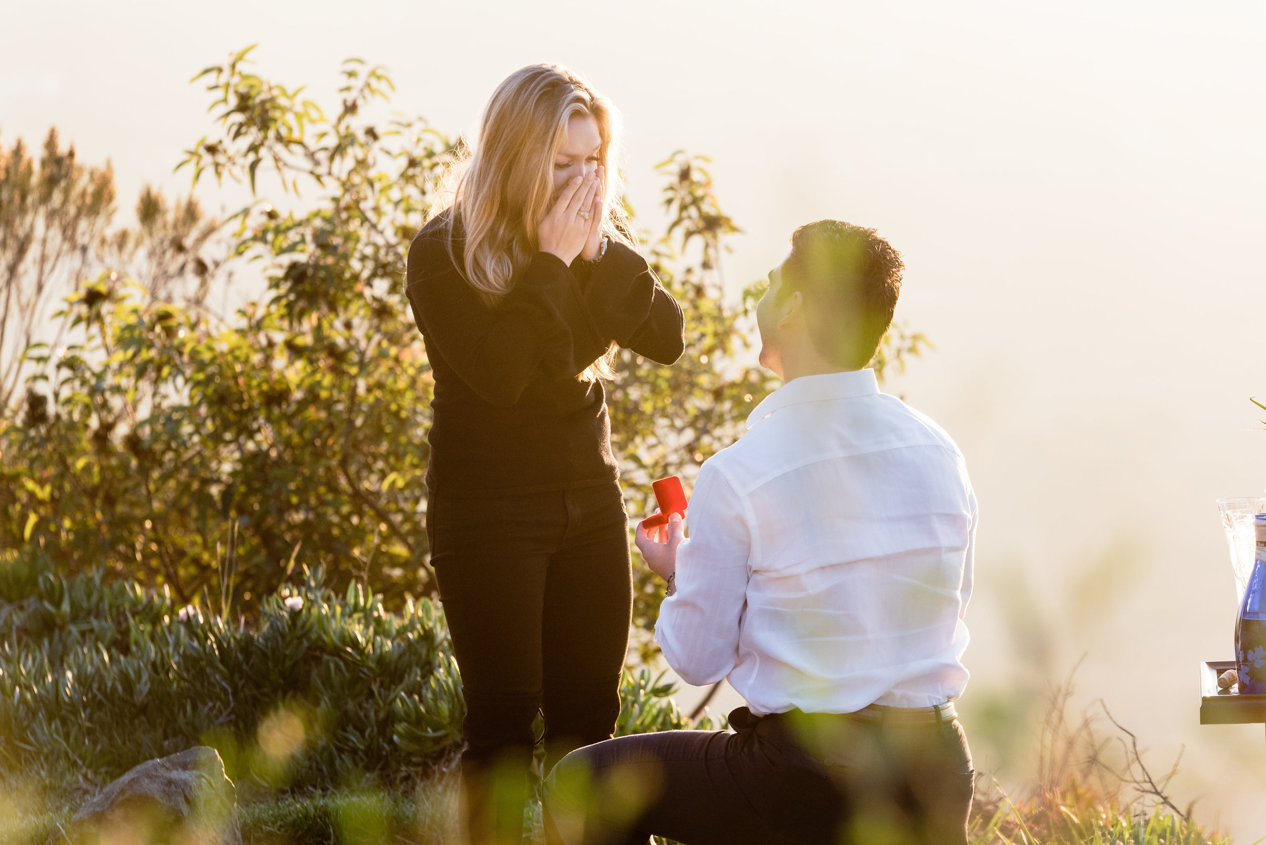 San Diego Proposal Photography | Ernie & Fiona 