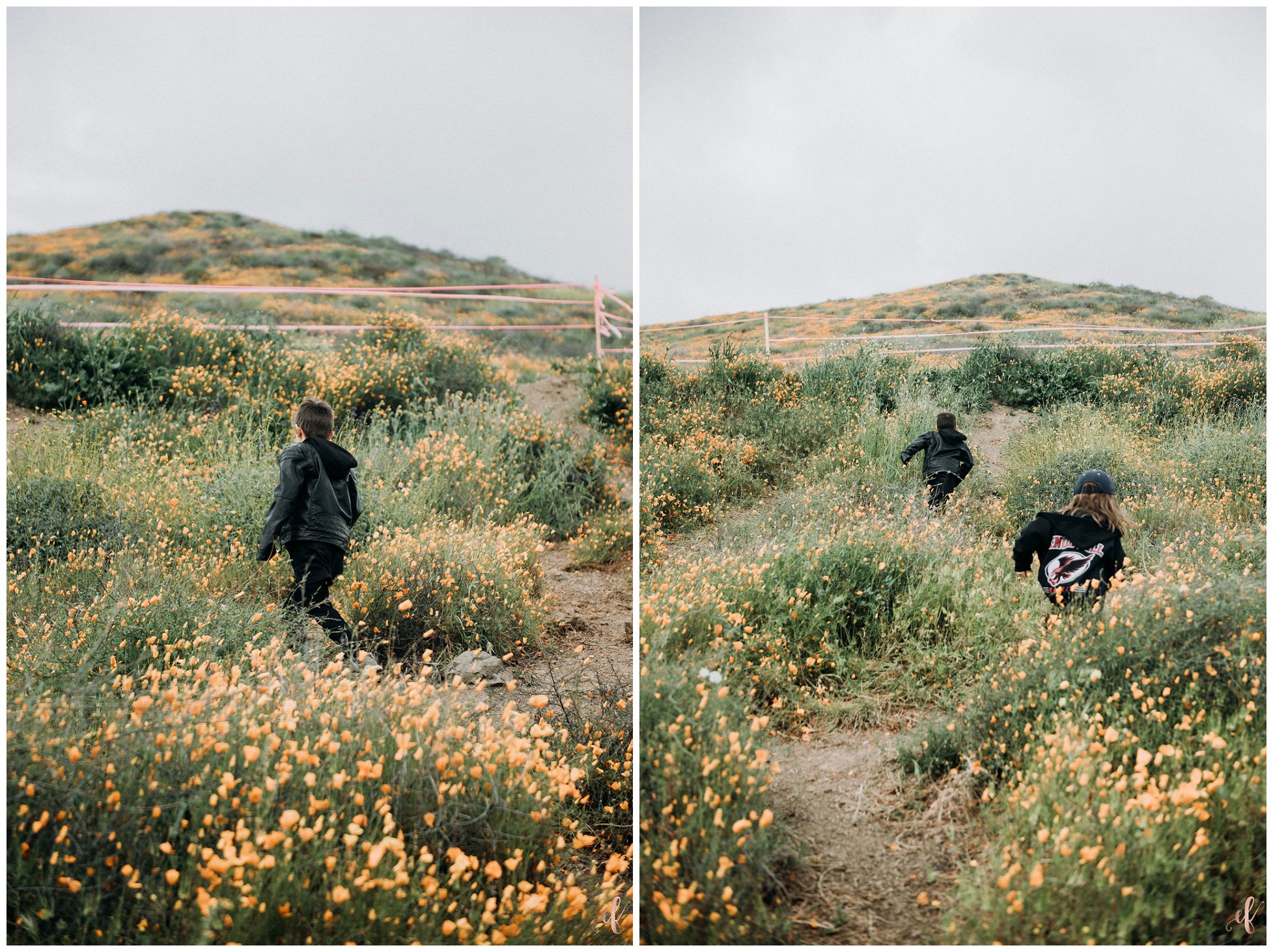 Superbloom in Lake Elsinore
