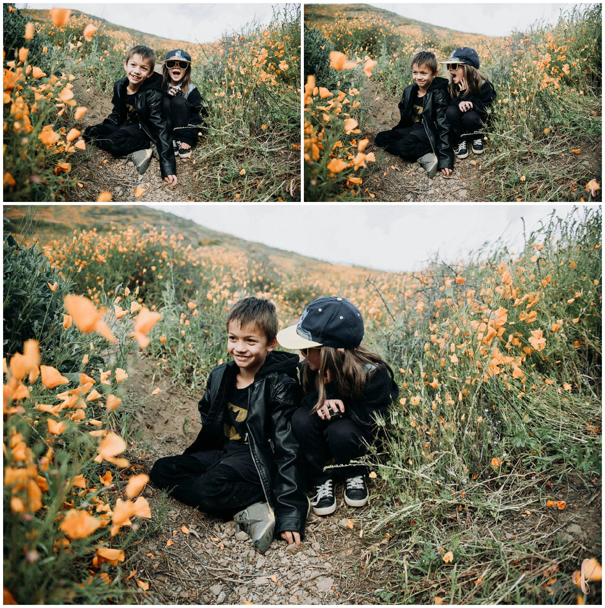 Superbloom in Lake Elsinore
