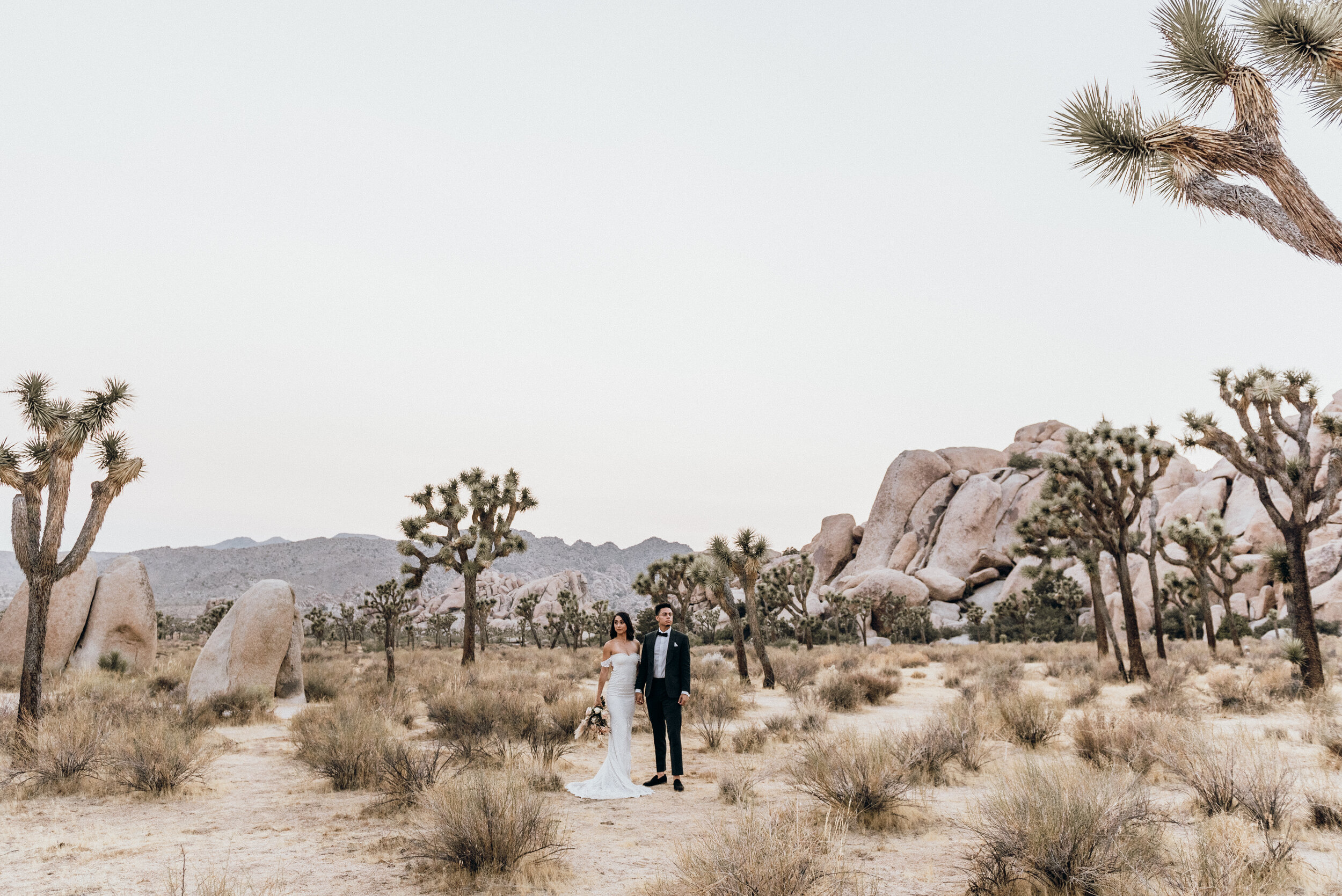 Joshua Tree Elopement Photography | Wedding Photography