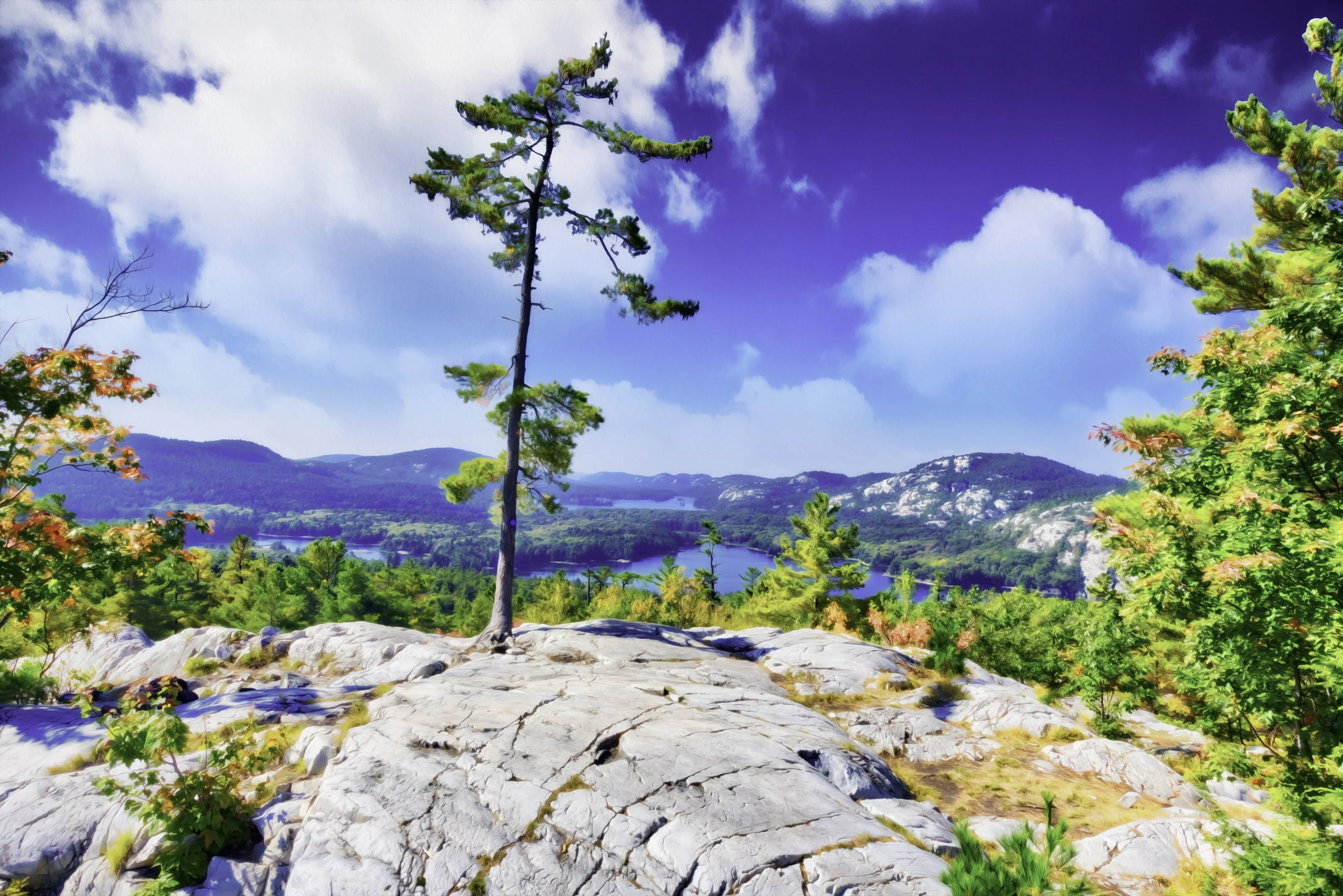 View from 'The Crack' - Killarney Provincial Park