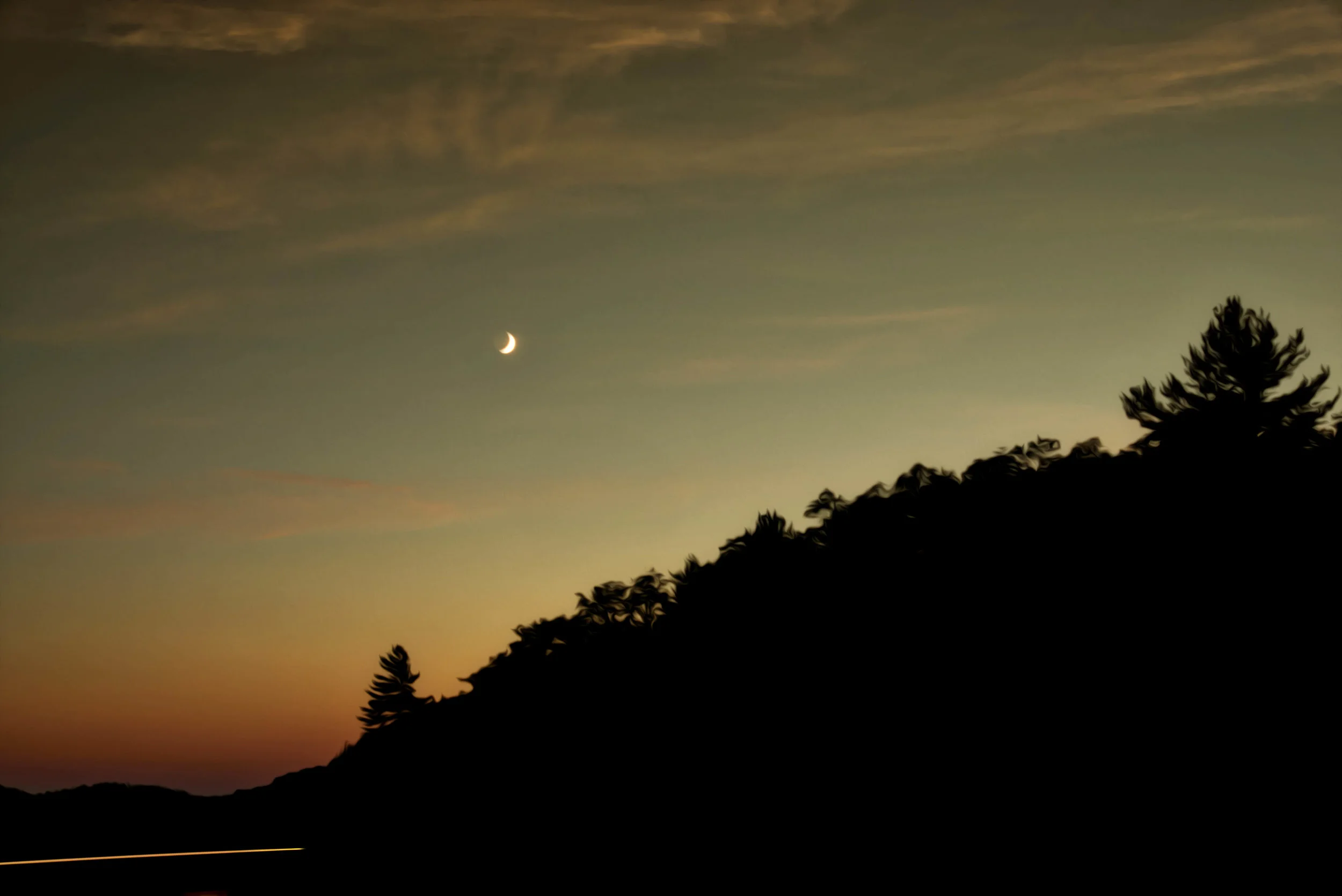Moon over Tree Silhouette - Killarney Lake - Killarney Provincial Park