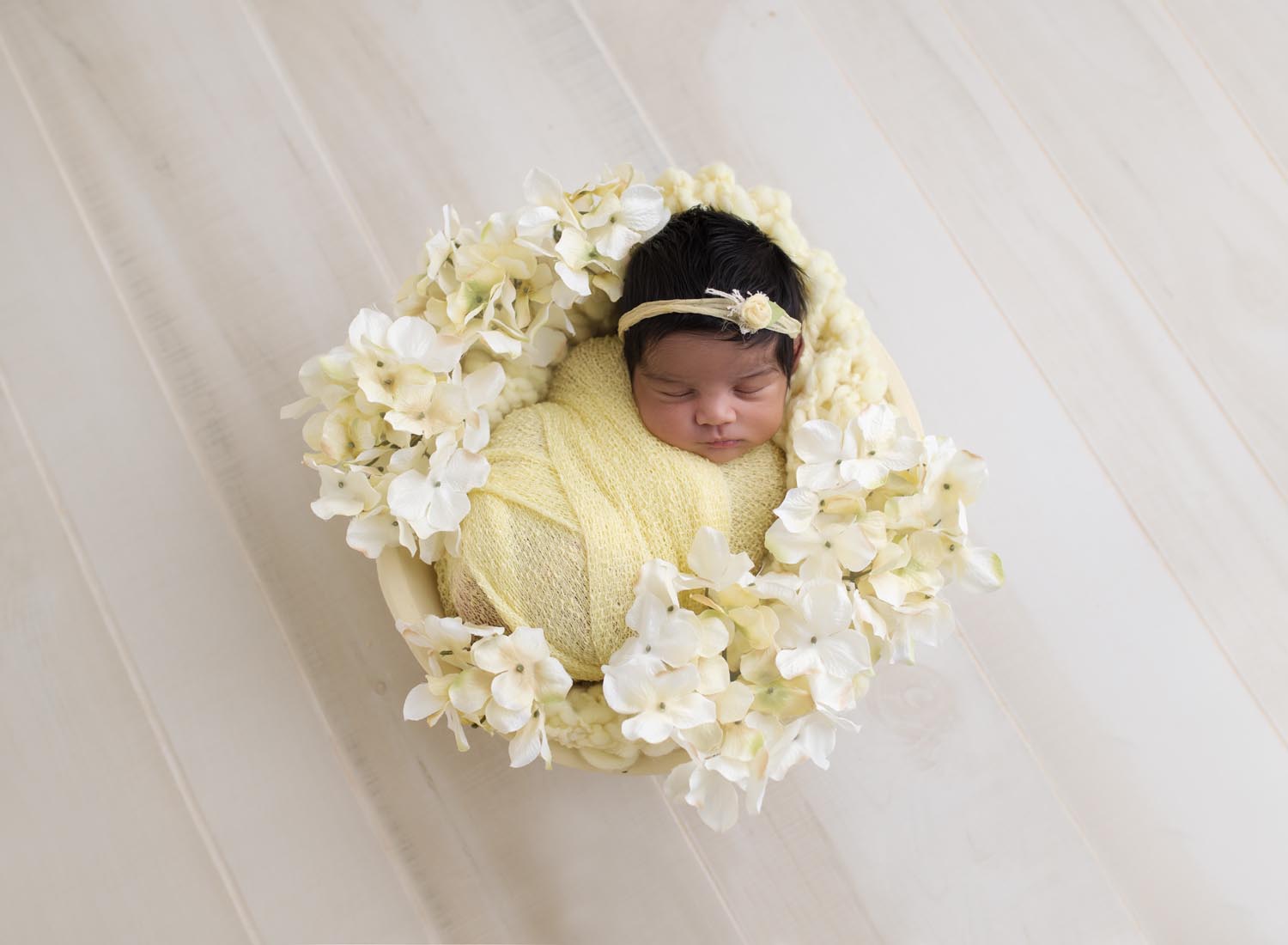 Coral Spring Baby Photographer