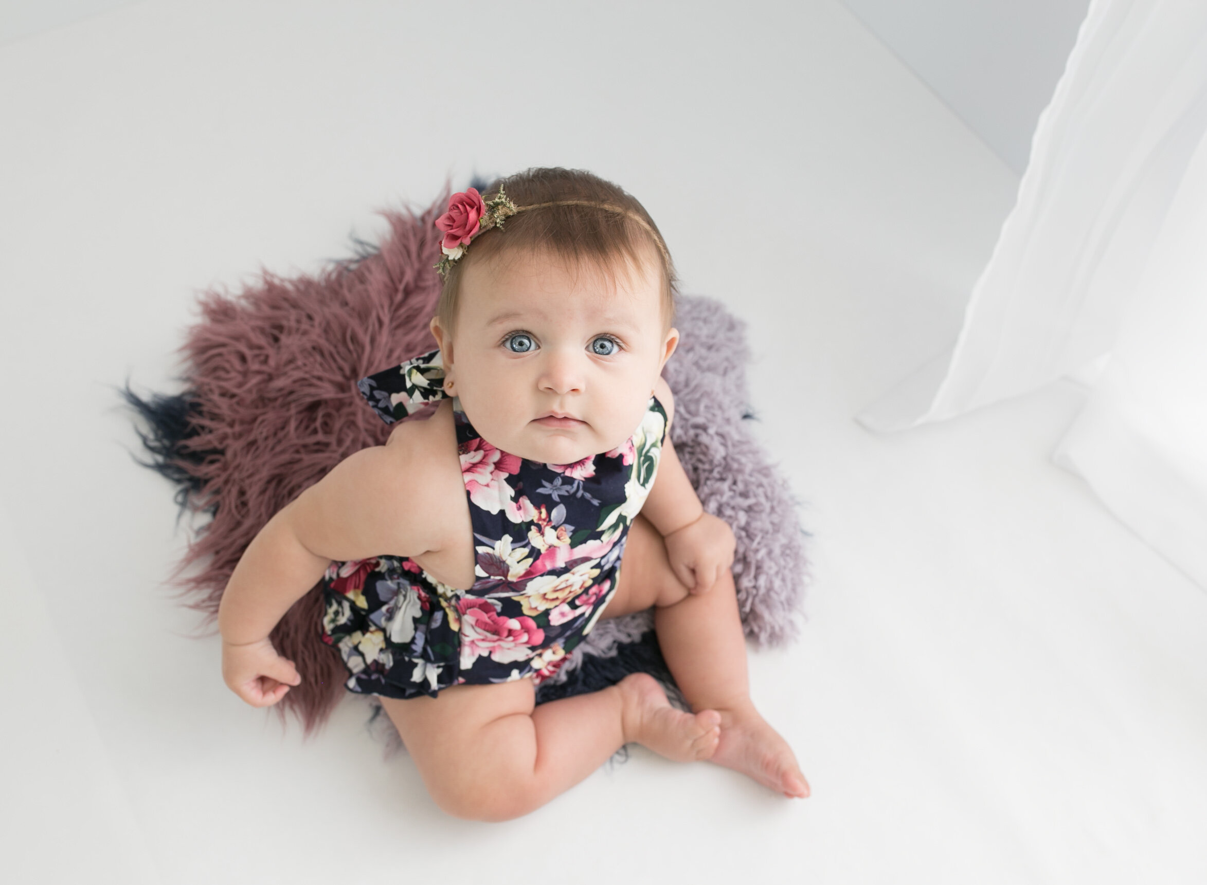 south florida baby photography - grow with me plan