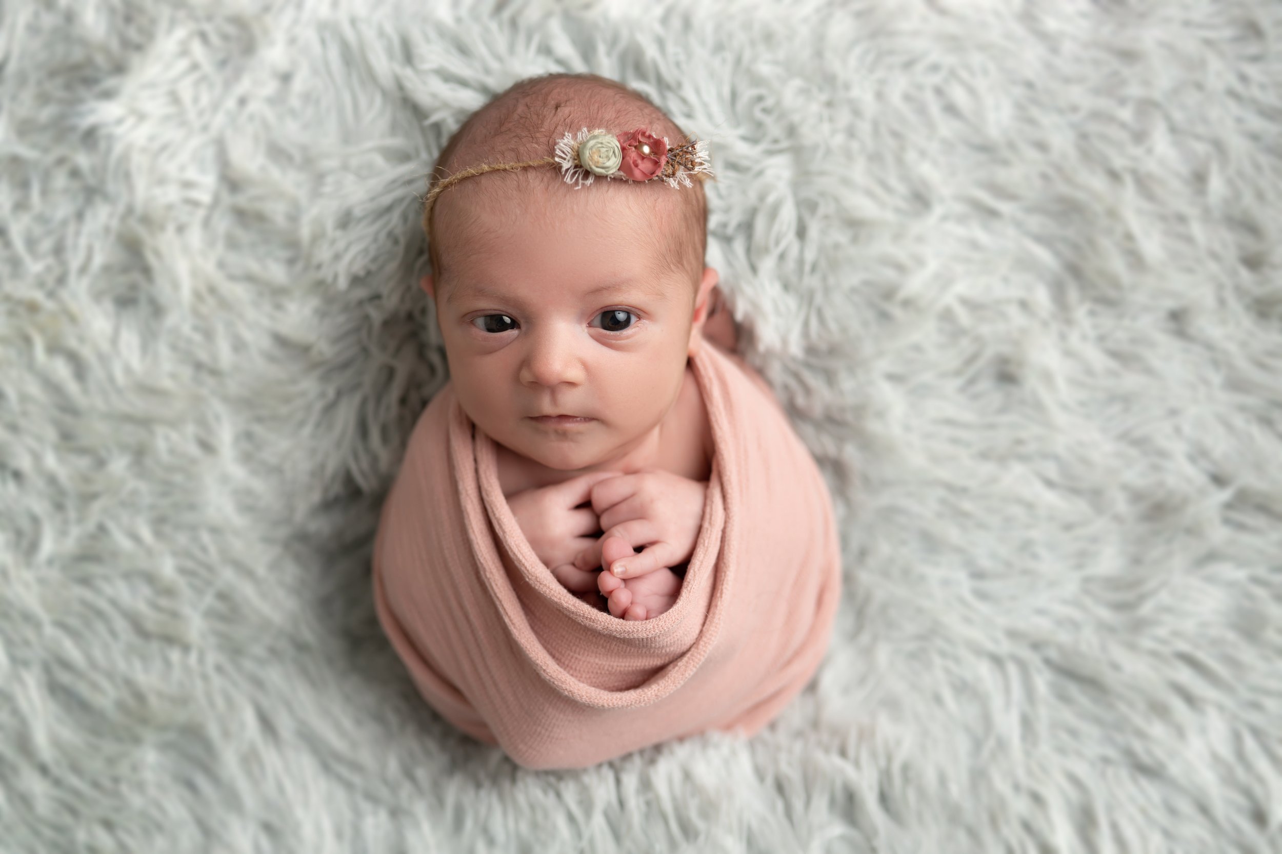 Parkland-newborn-photography.jpg