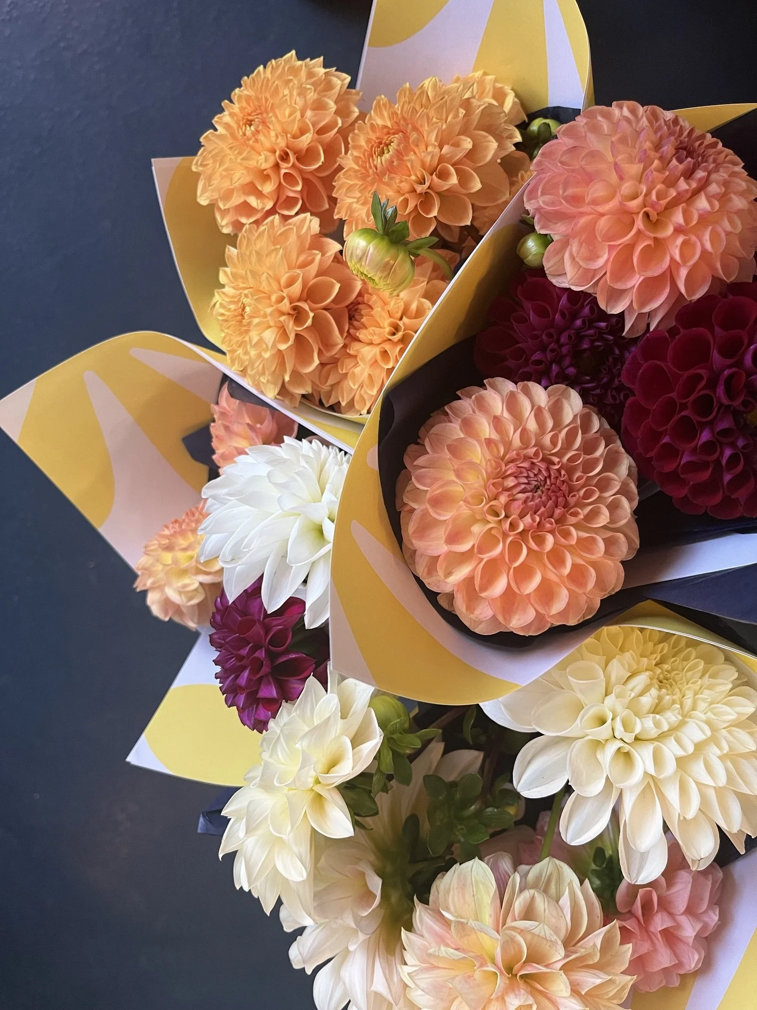 dahlias.jpeg