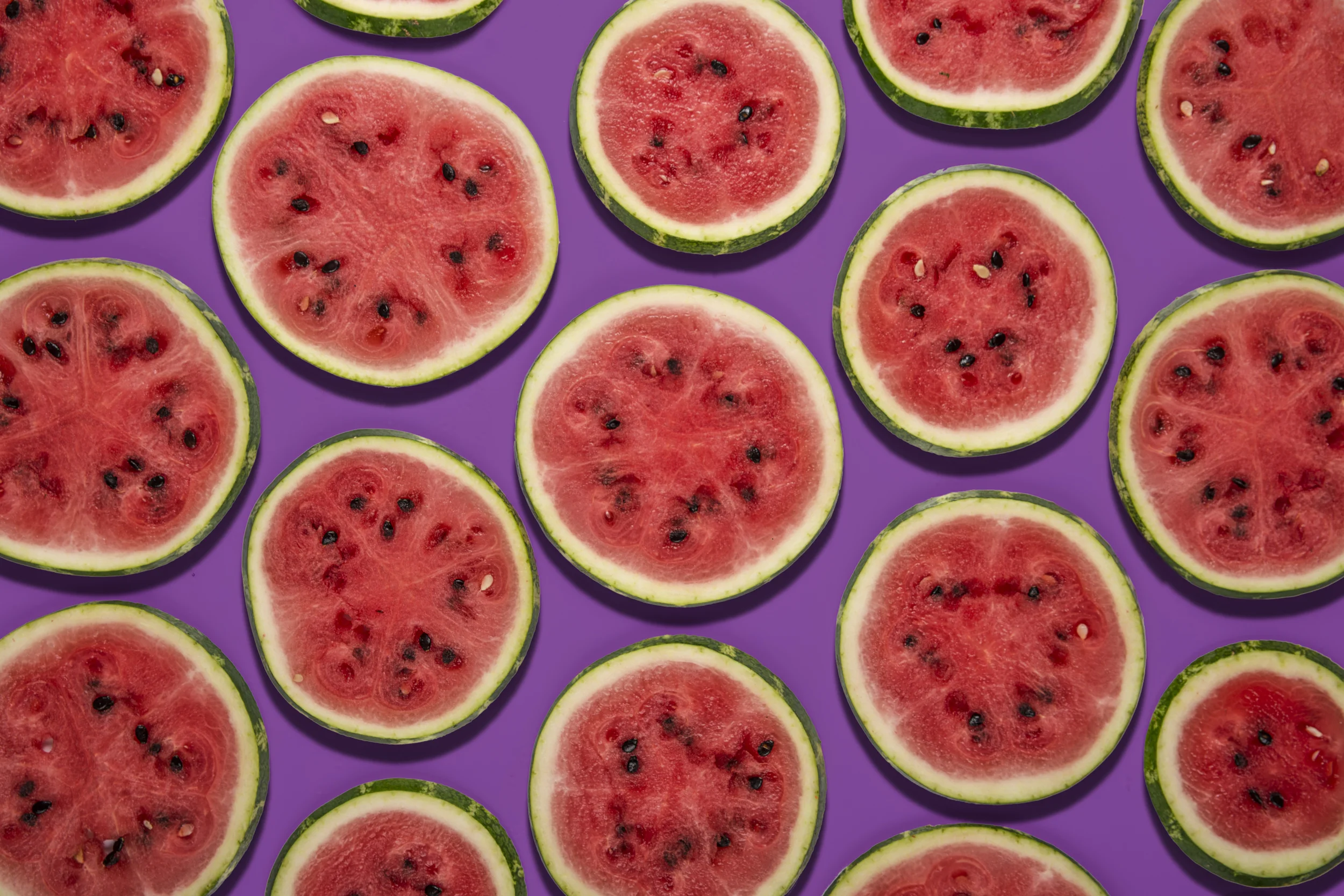 Bronson (3 of 3).JPG