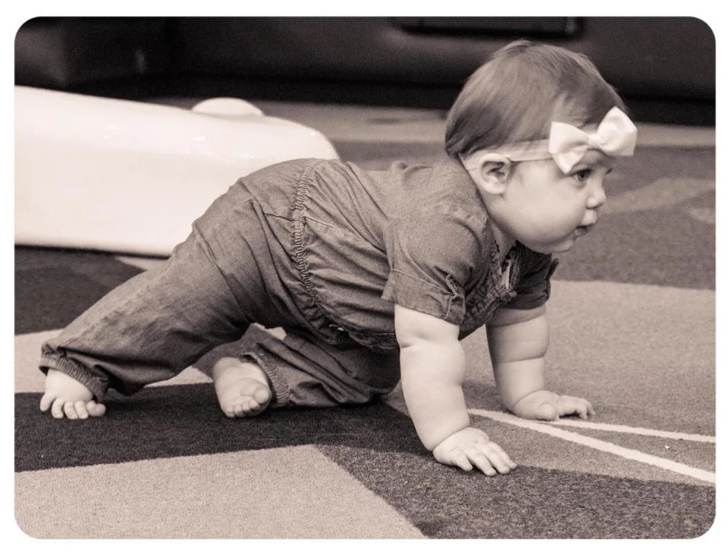 2016-08-27 JaneMarie Crawls Comp.jpg