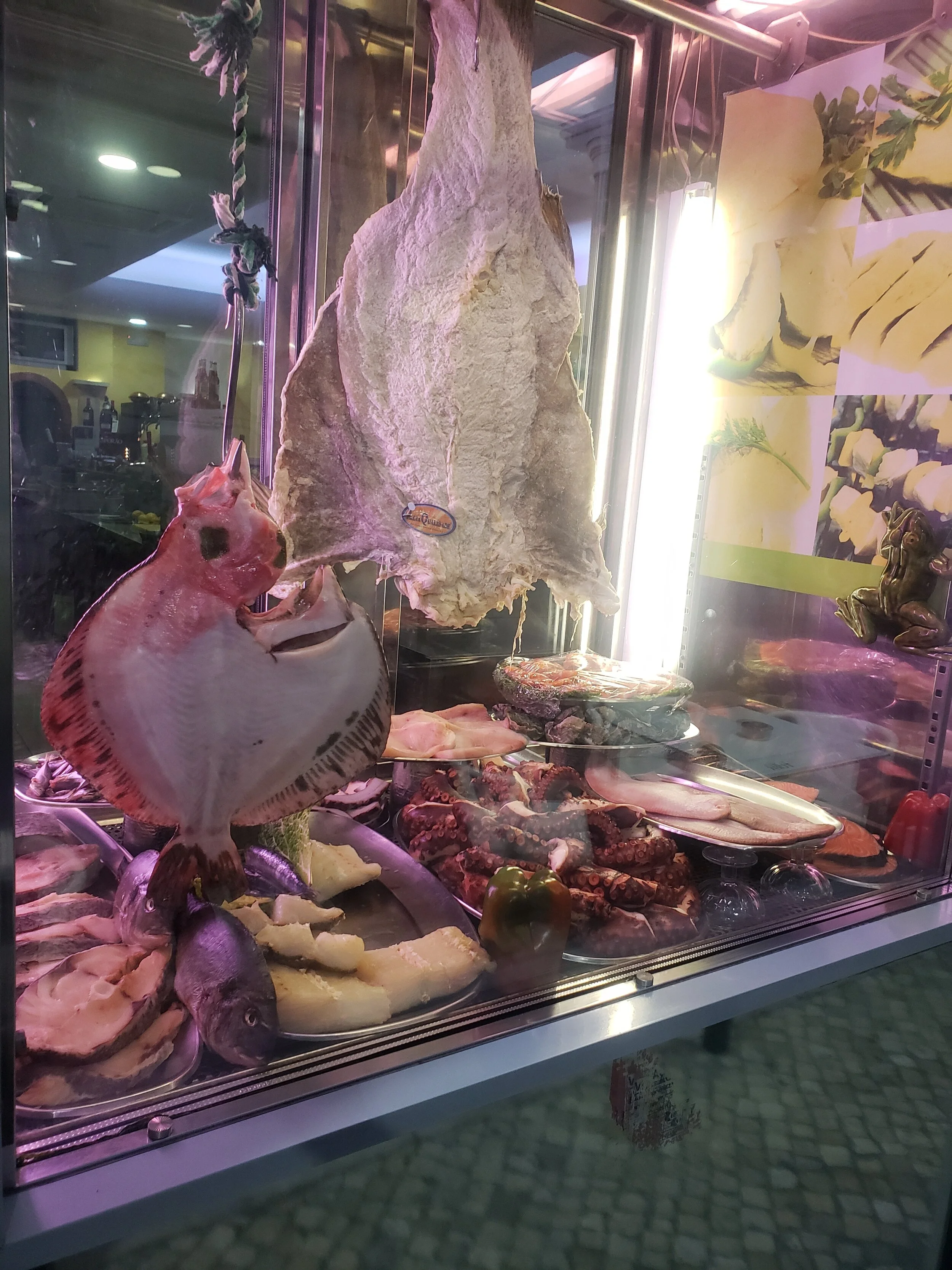 Dead Fish