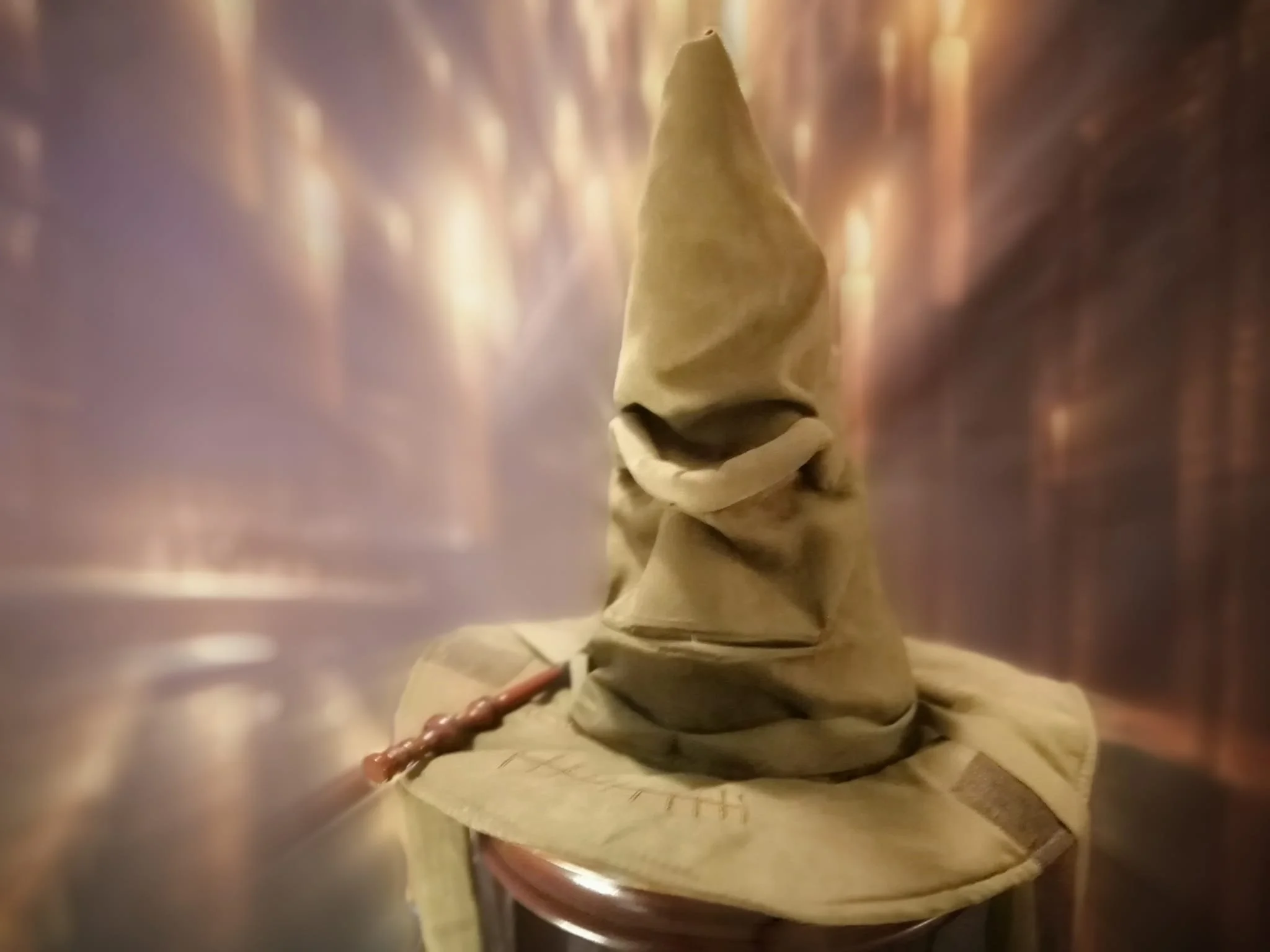 The Magic of the Sorting Ceremony — Live at Your Event