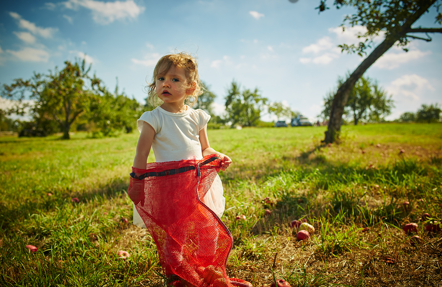 091915_Apple_Picking_OuthouseOrchards_231.jpg