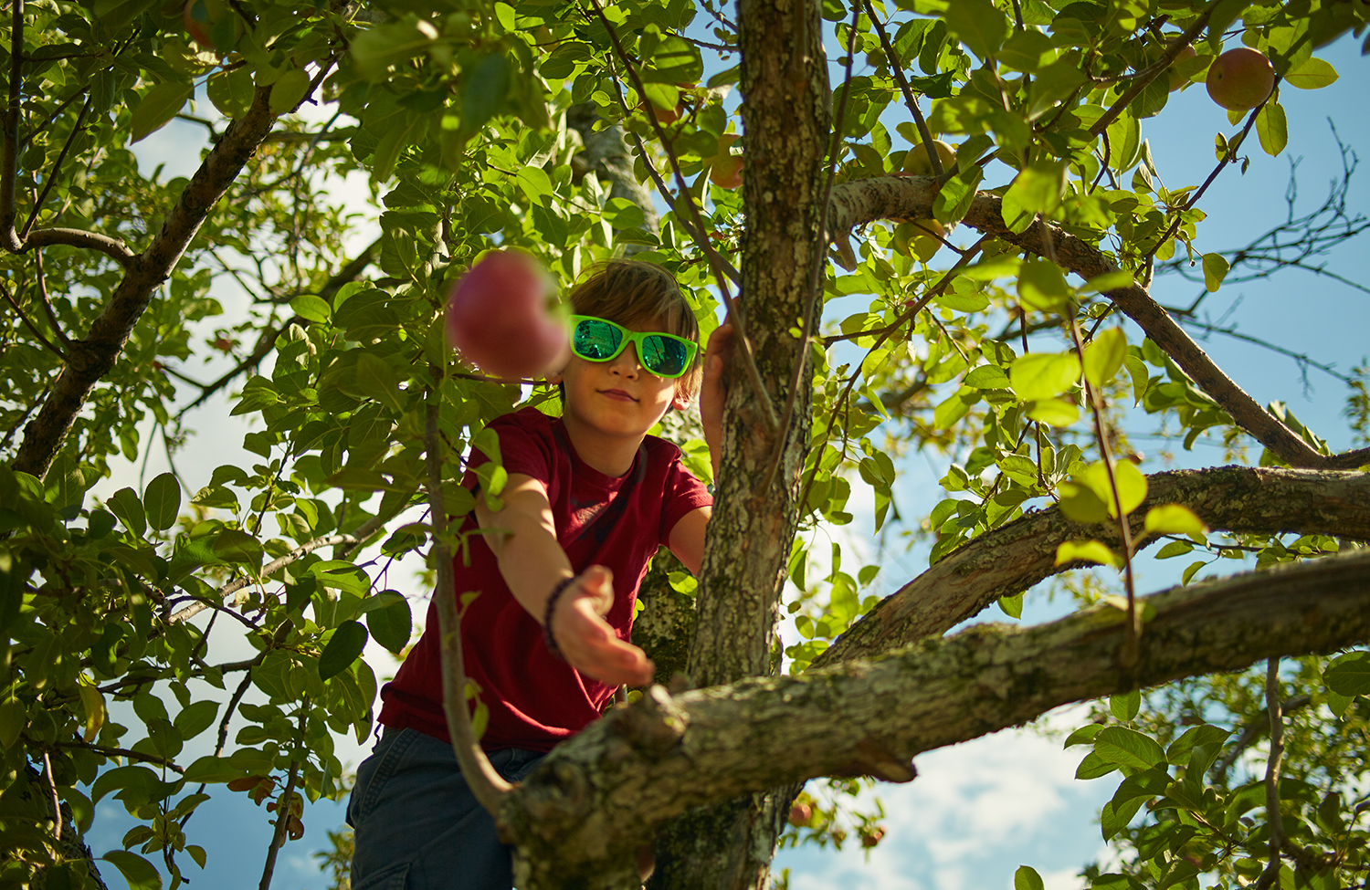 091915_Apple_Picking_OuthouseOrchards_406.jpg