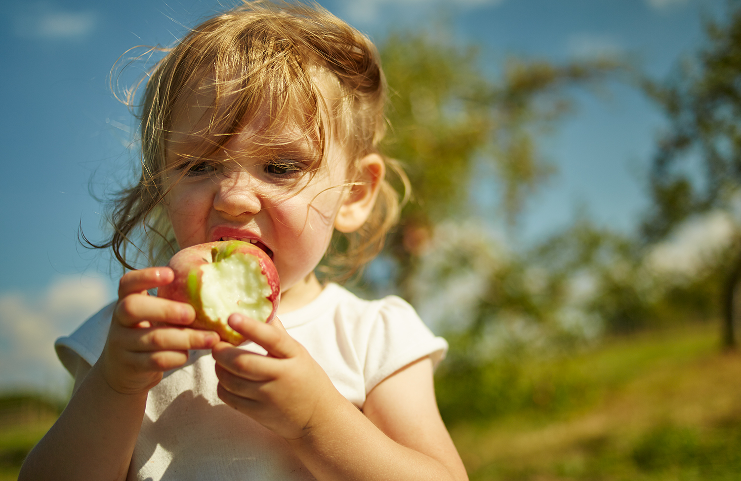 091915_Apple_Picking_OuthouseOrchards_455.jpg