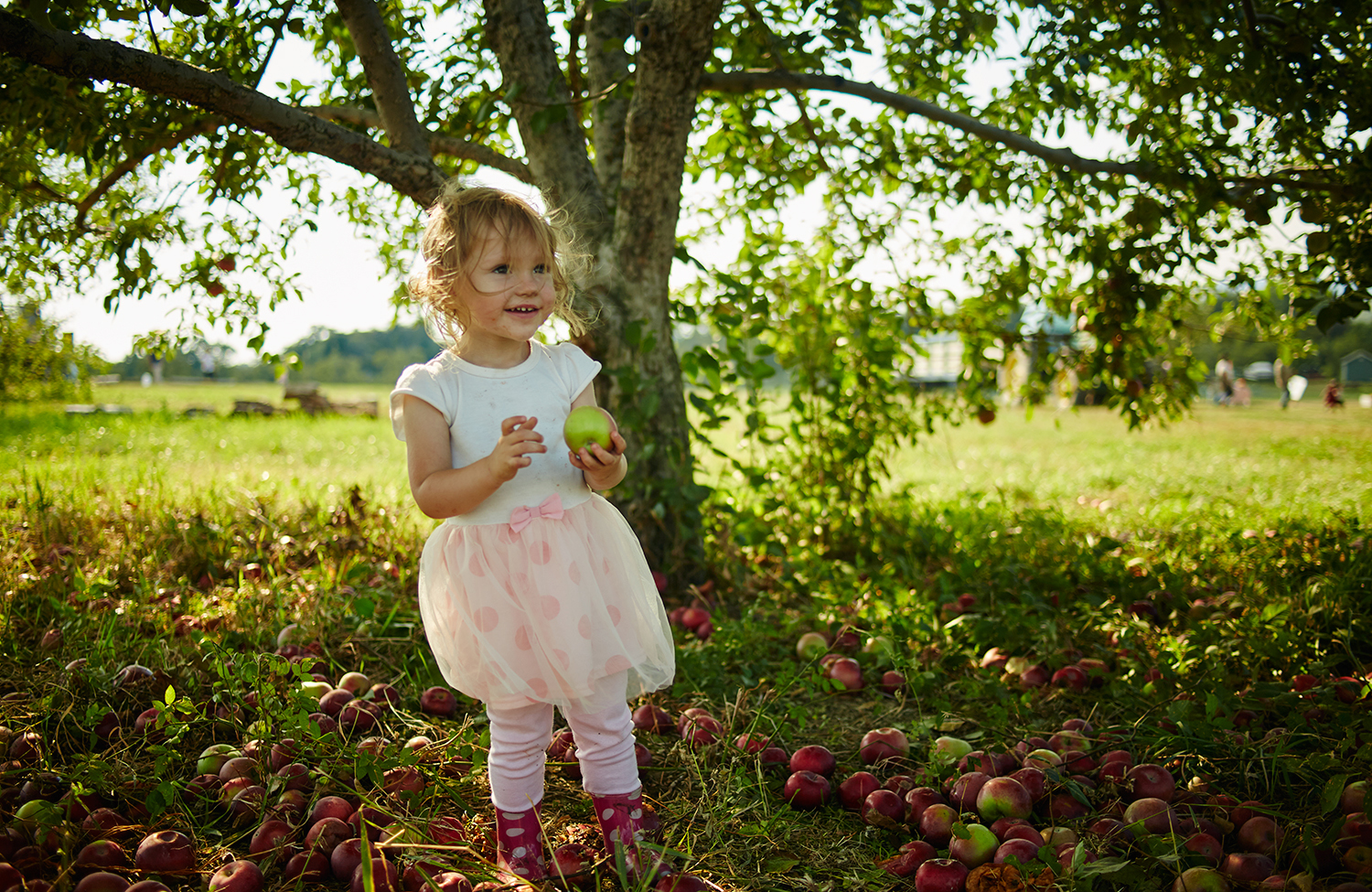 091915_Apple_Picking_OuthouseOrchards_556.jpg