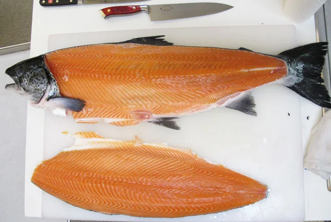 The Sustainable Salmon Solution