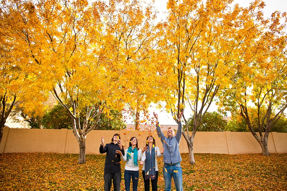 The Piceno's -The Family Collection-