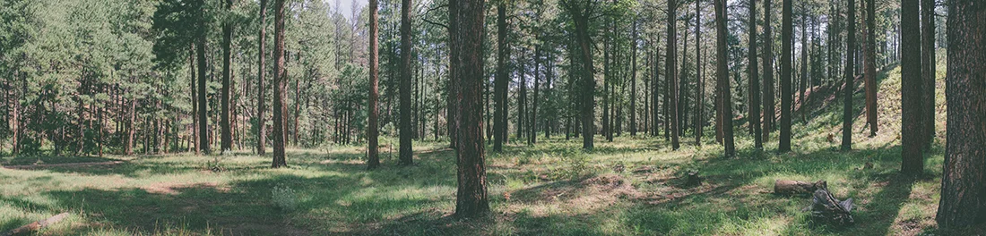 20 Songs for November