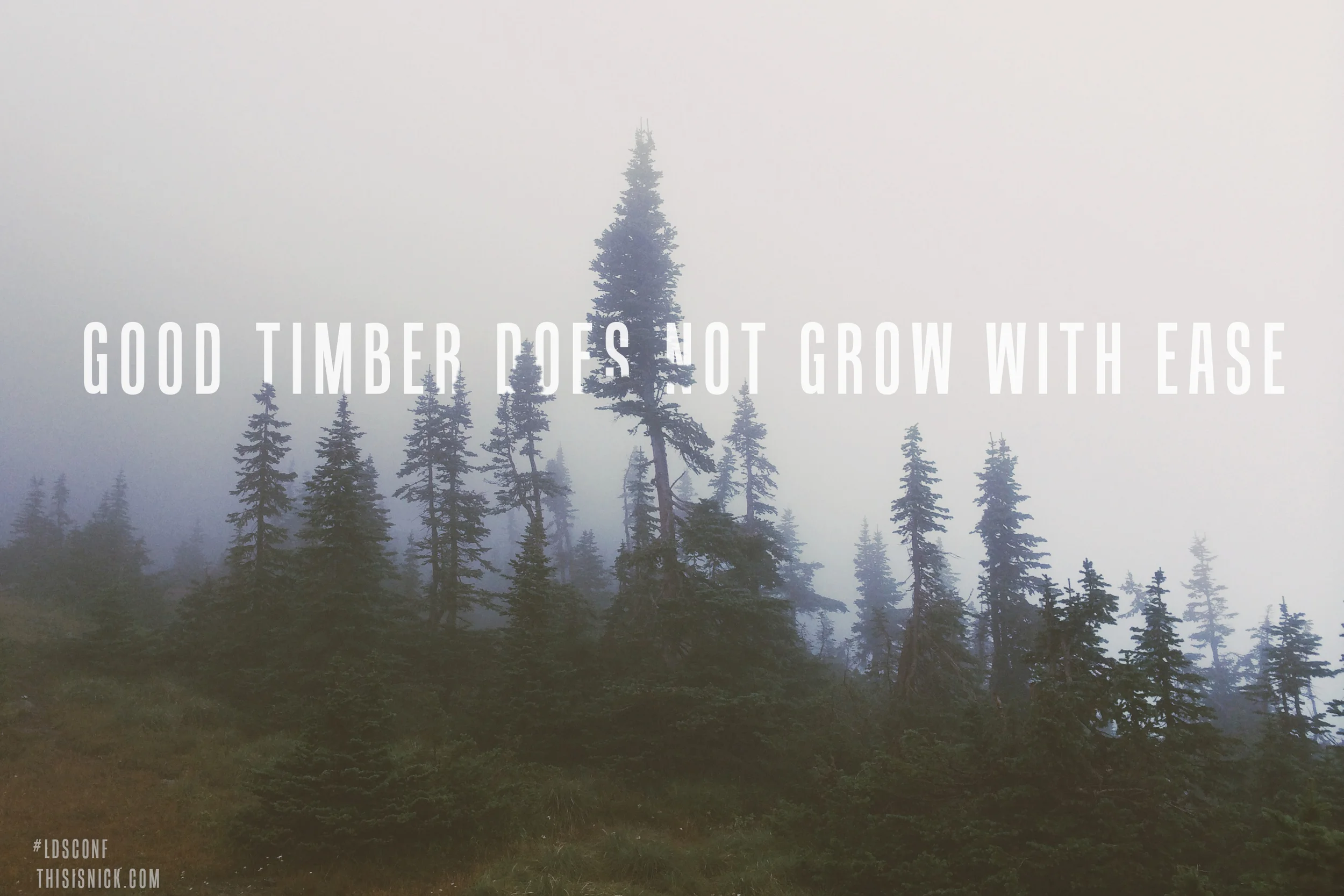 Typography and Stuff | General Conference October 2013