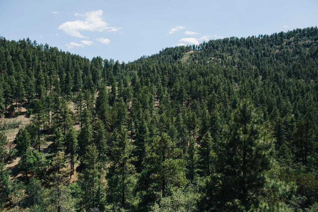 Daytrippin: Sedona & Prescott 2013