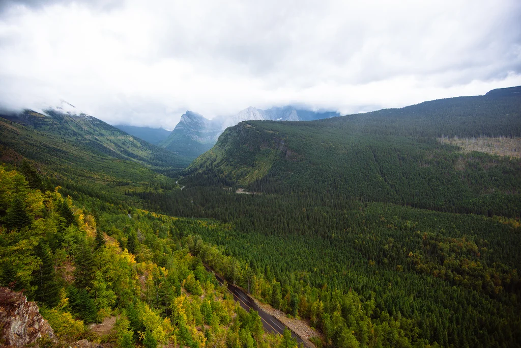 Trippin: Whitefish, Montana