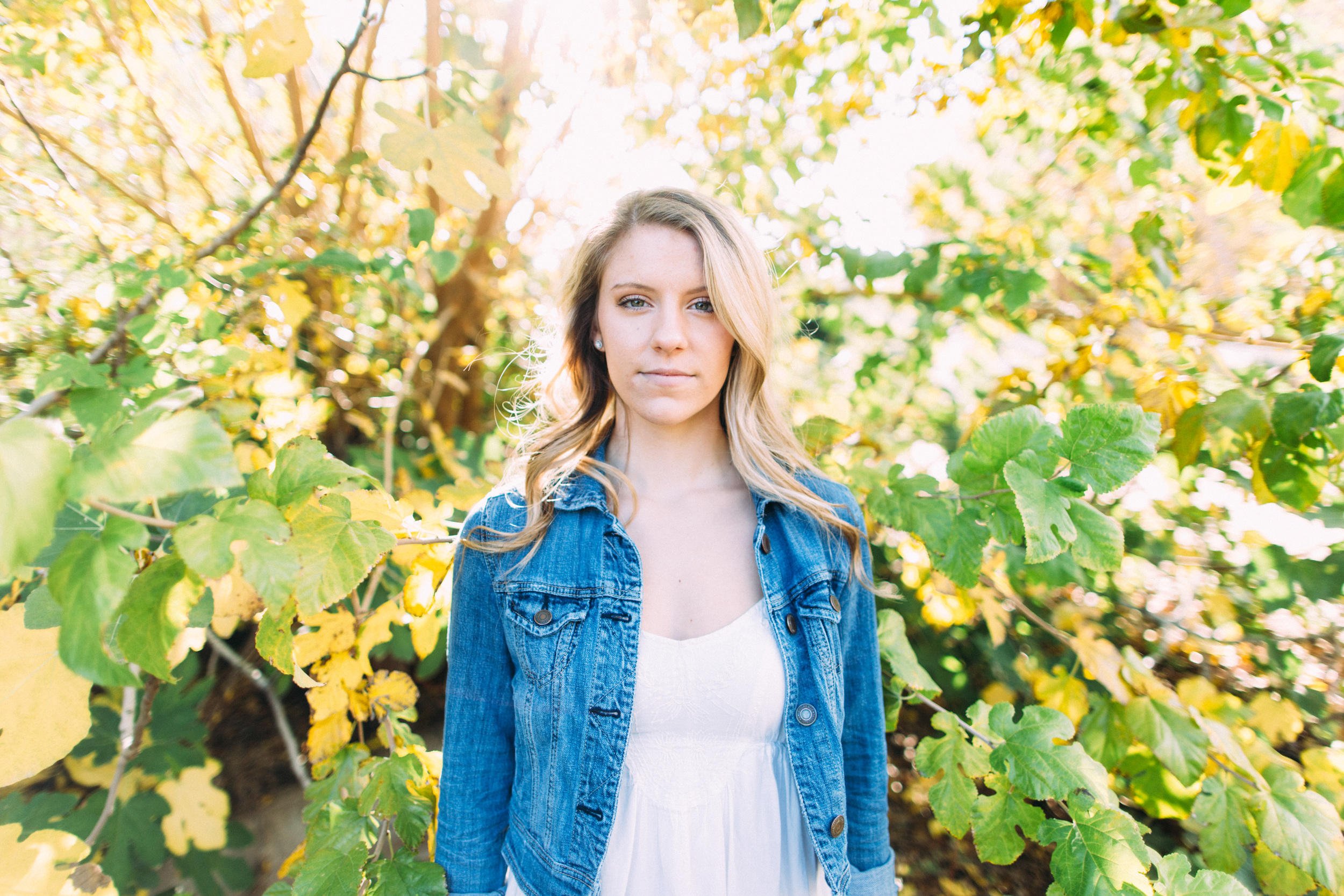 Morgan Harmeyer