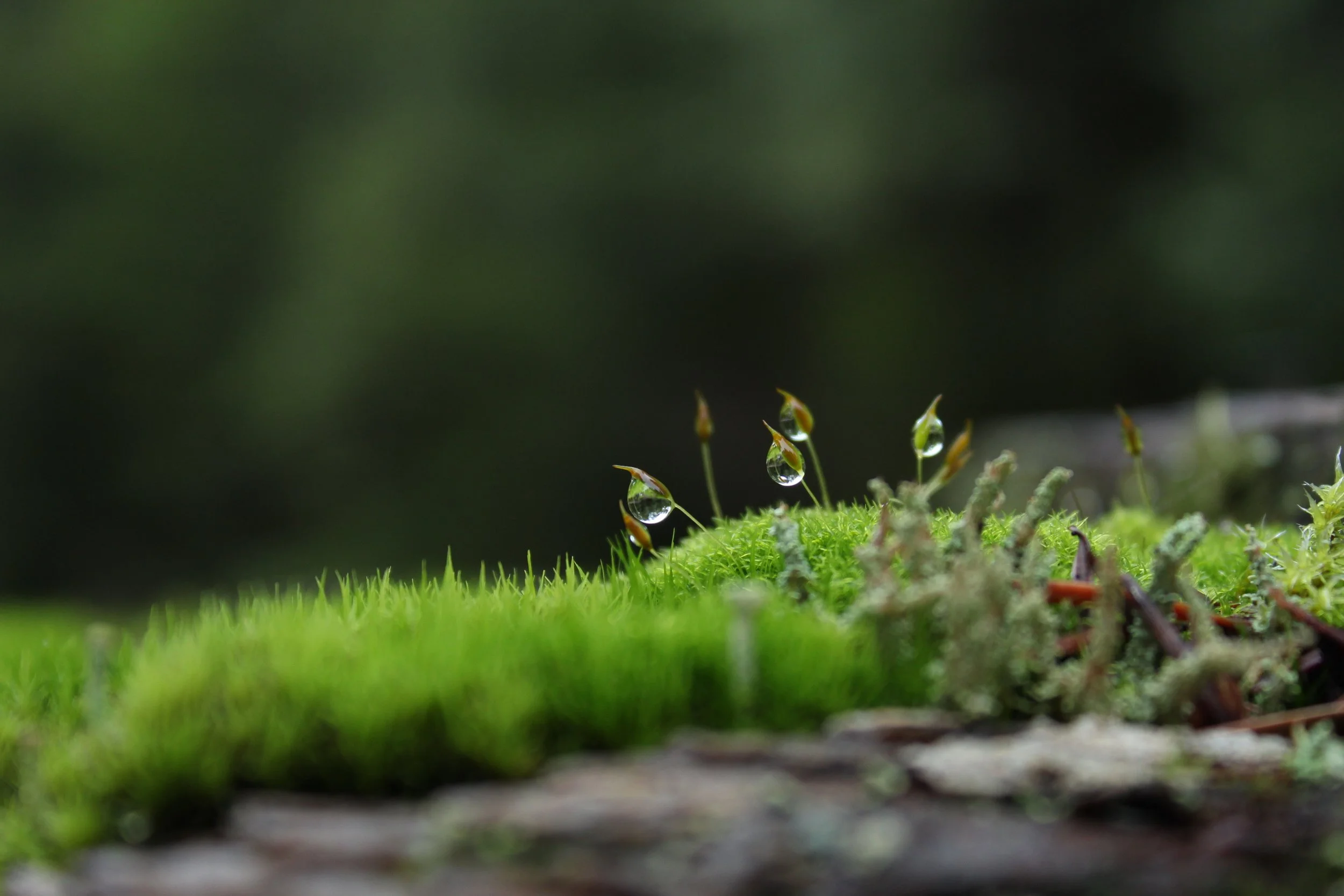 Grieving The World We Are Forced To Inherit