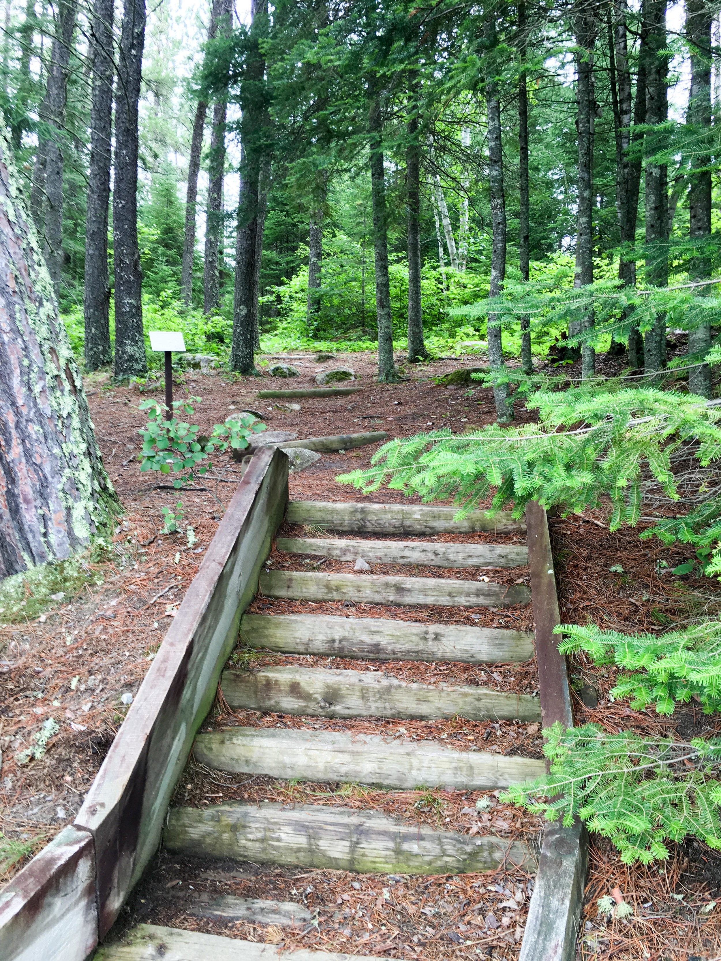 The Trailhead