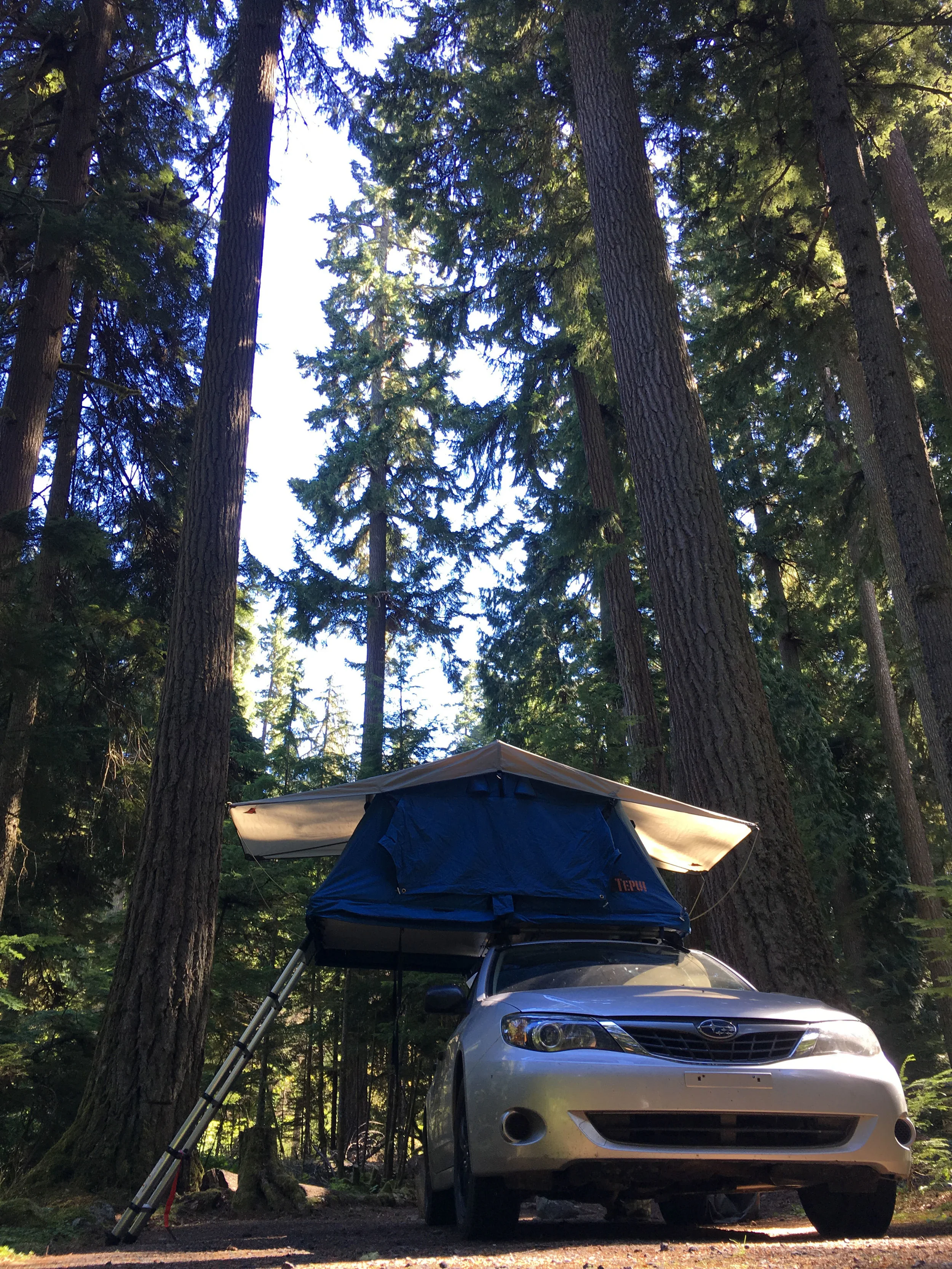 Morning at the Dalles Campground