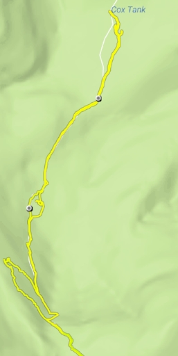 Lost on the Bush Mountain Trail