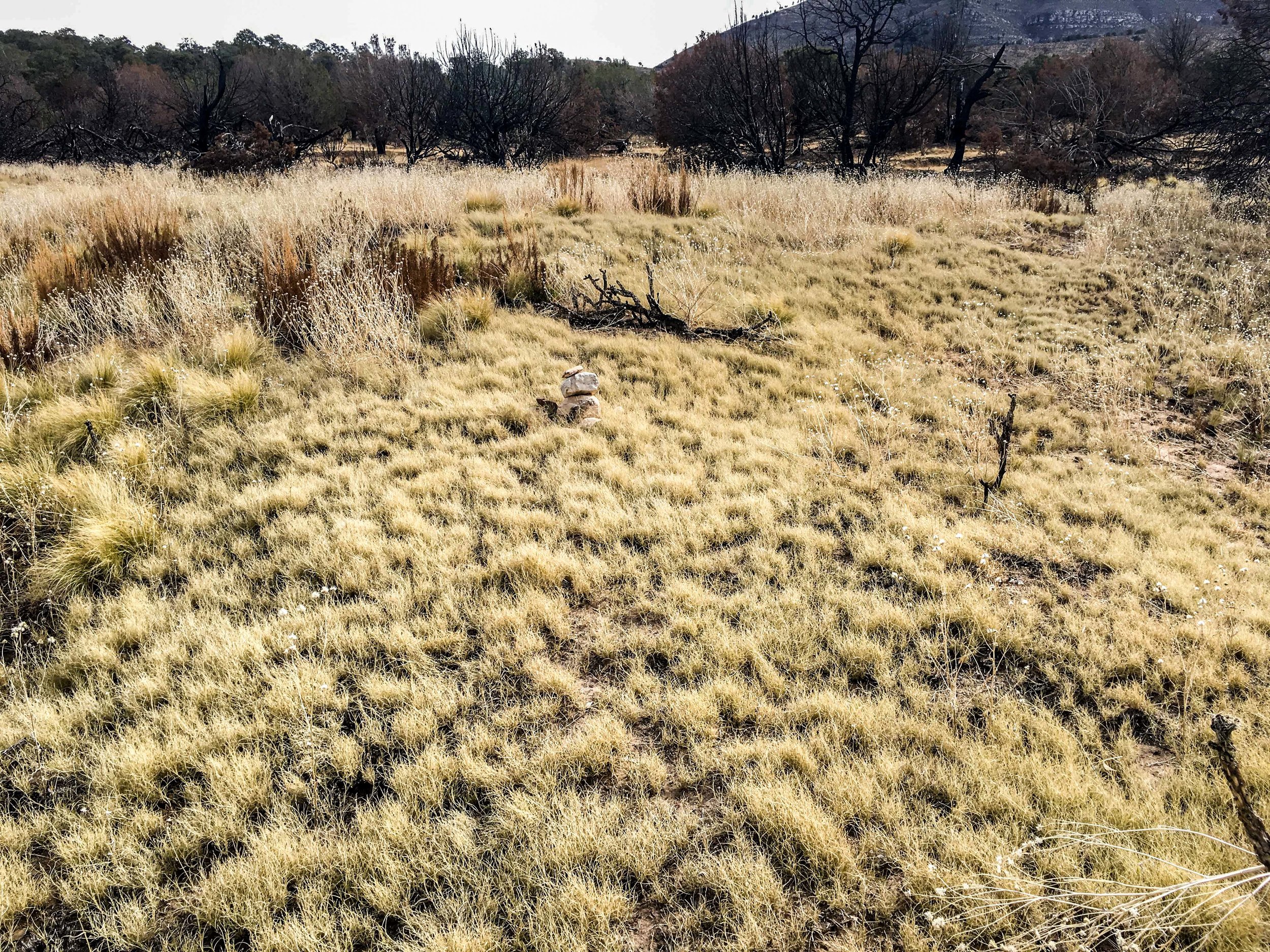 On the Bush Mountain Trail: I see the cairn. Do you see the trail?