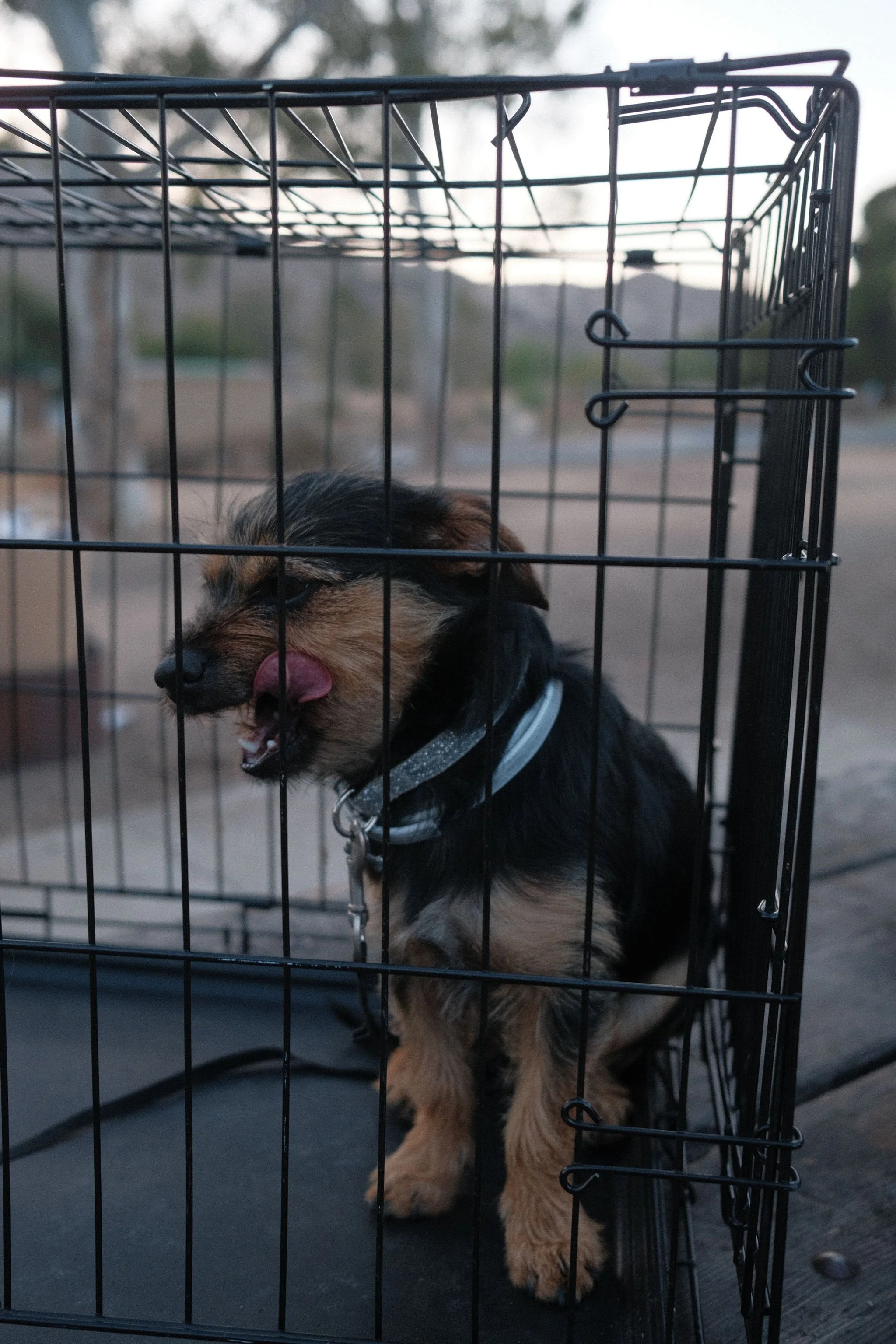 DSCF9317.JPG