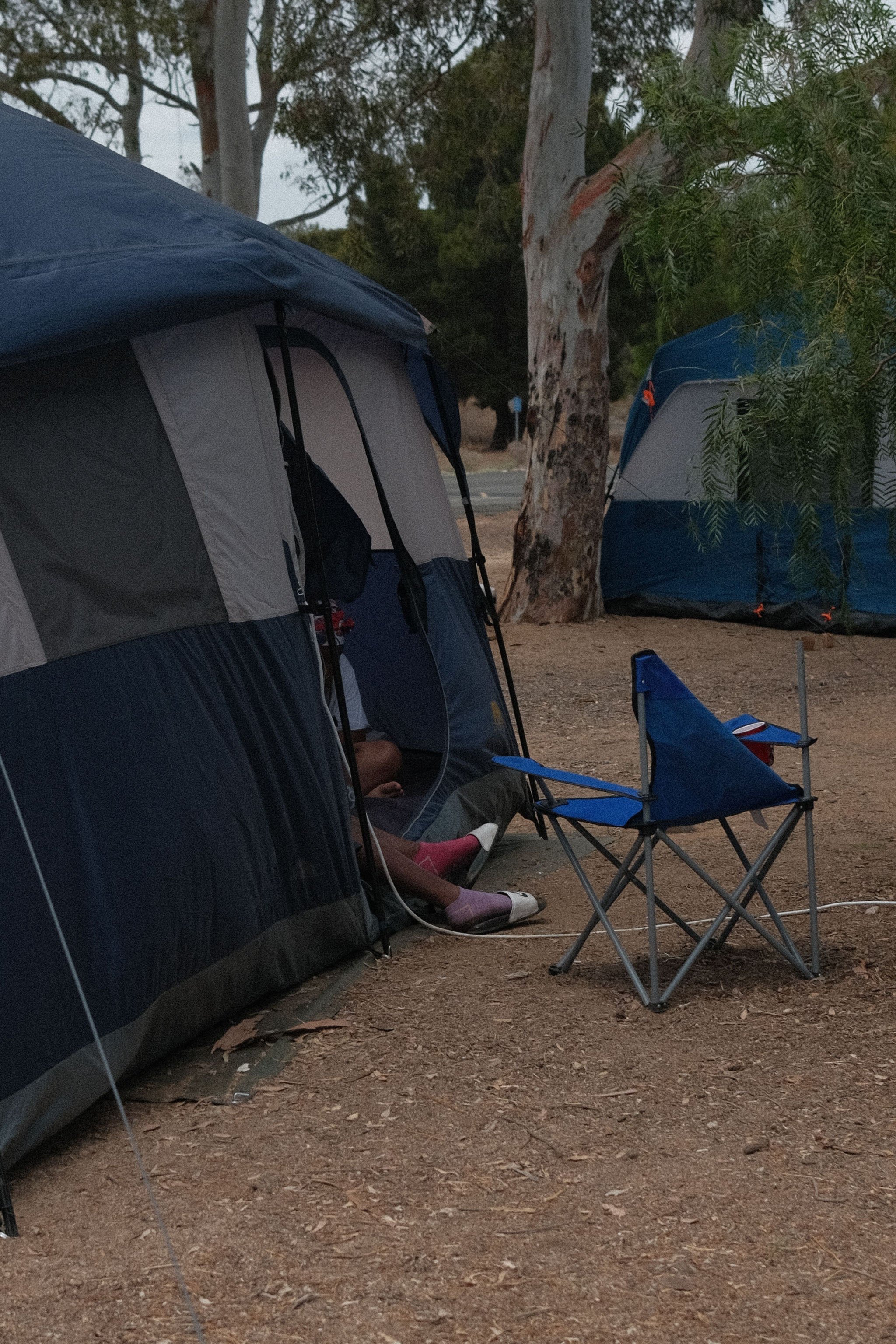 DSCF9350.JPG