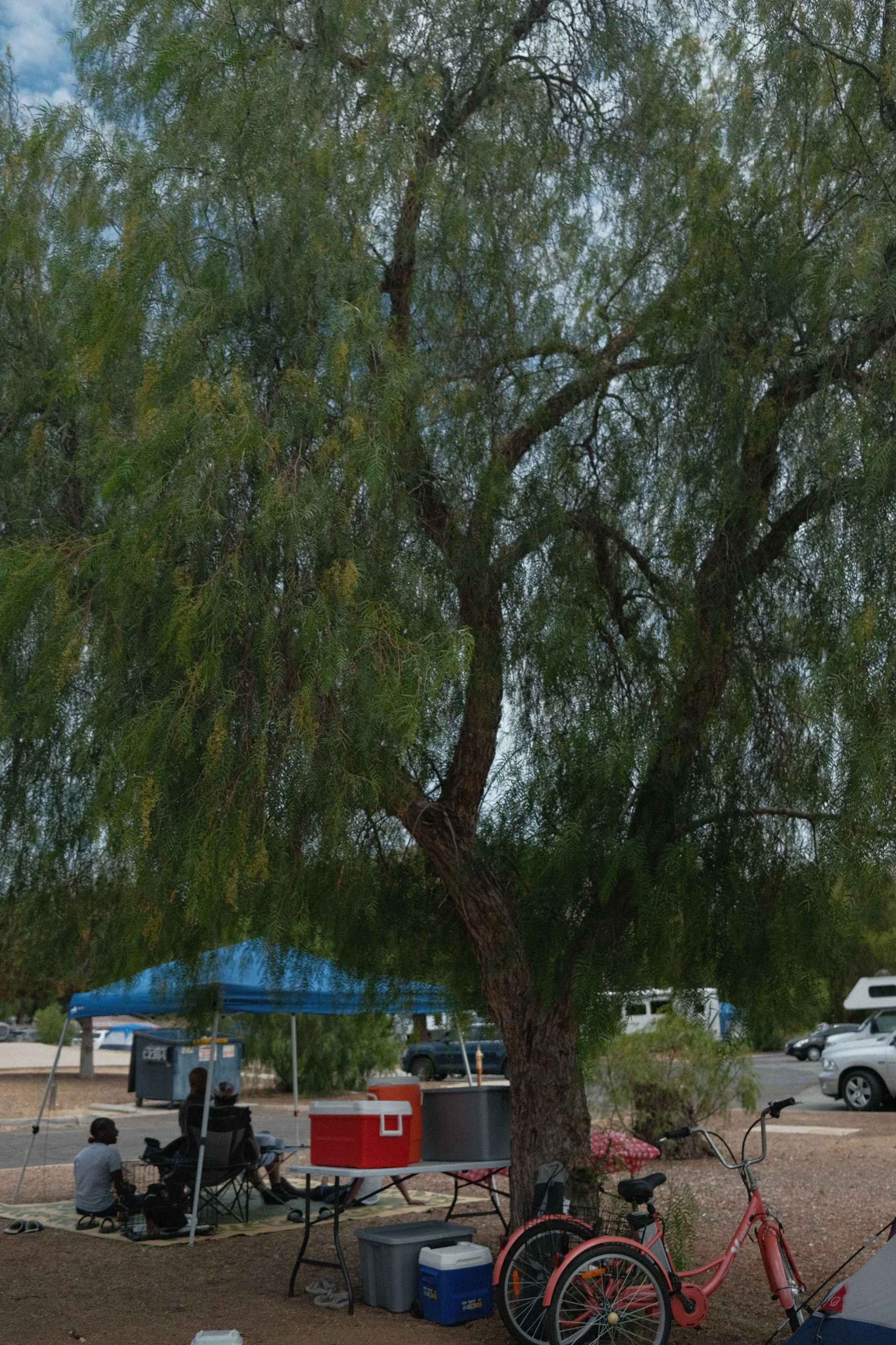 DSCF9360.JPG
