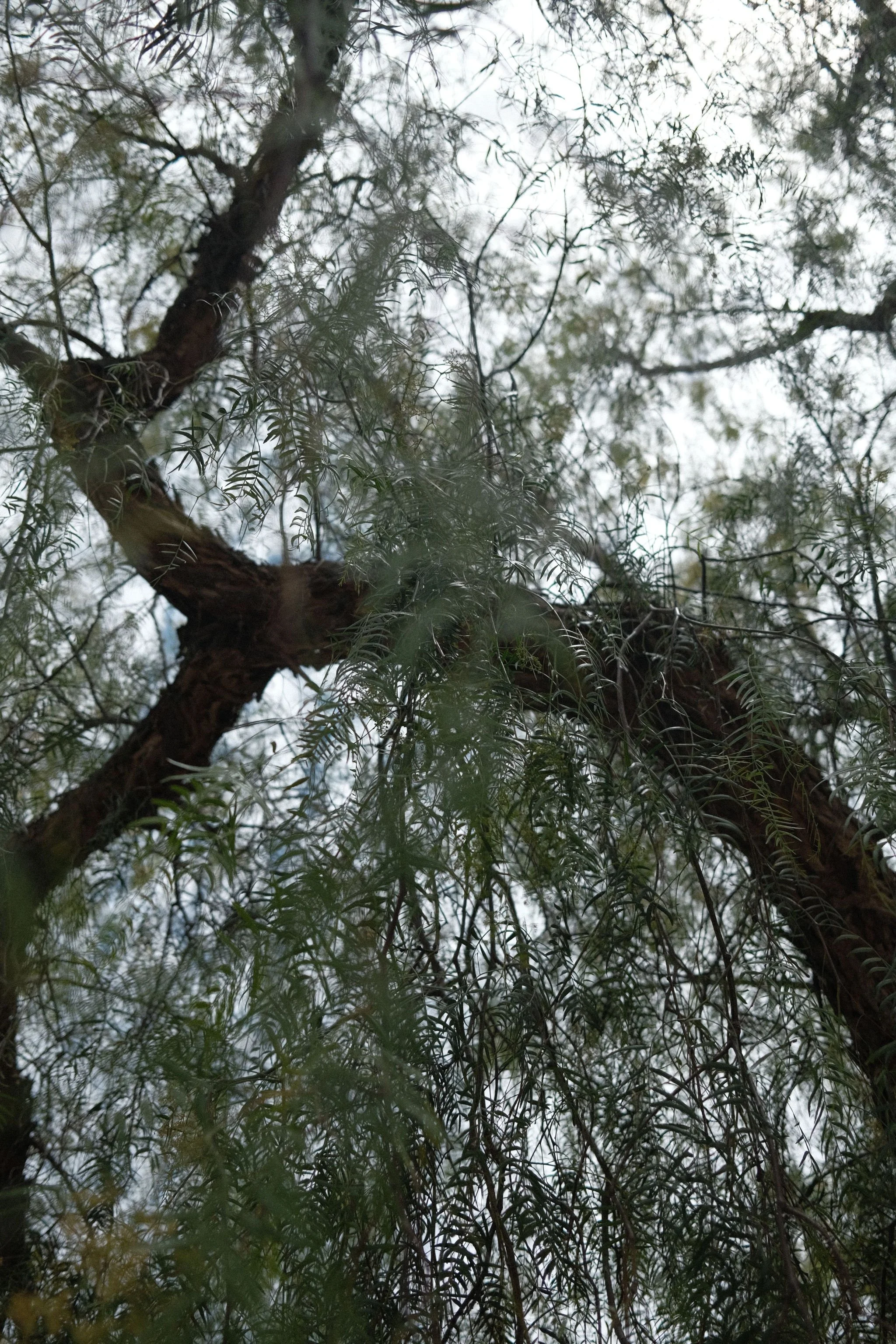 DSCF9379.JPG