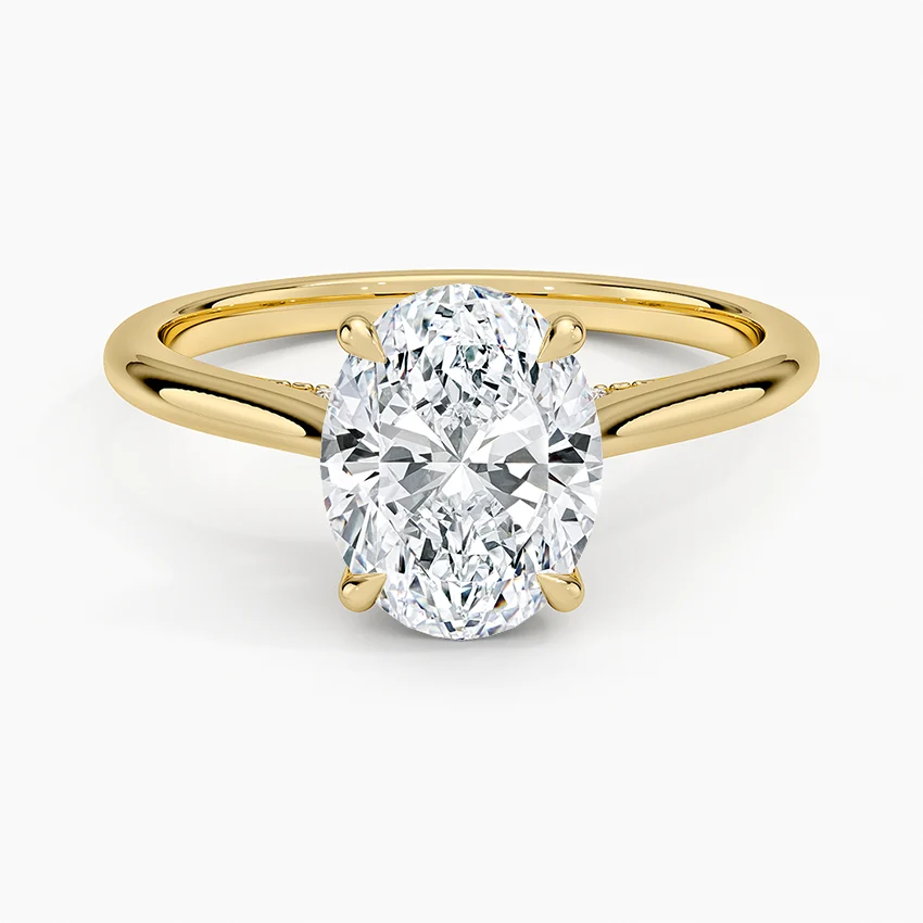 Oval Hidden Halo Cathedral Engagement Ring