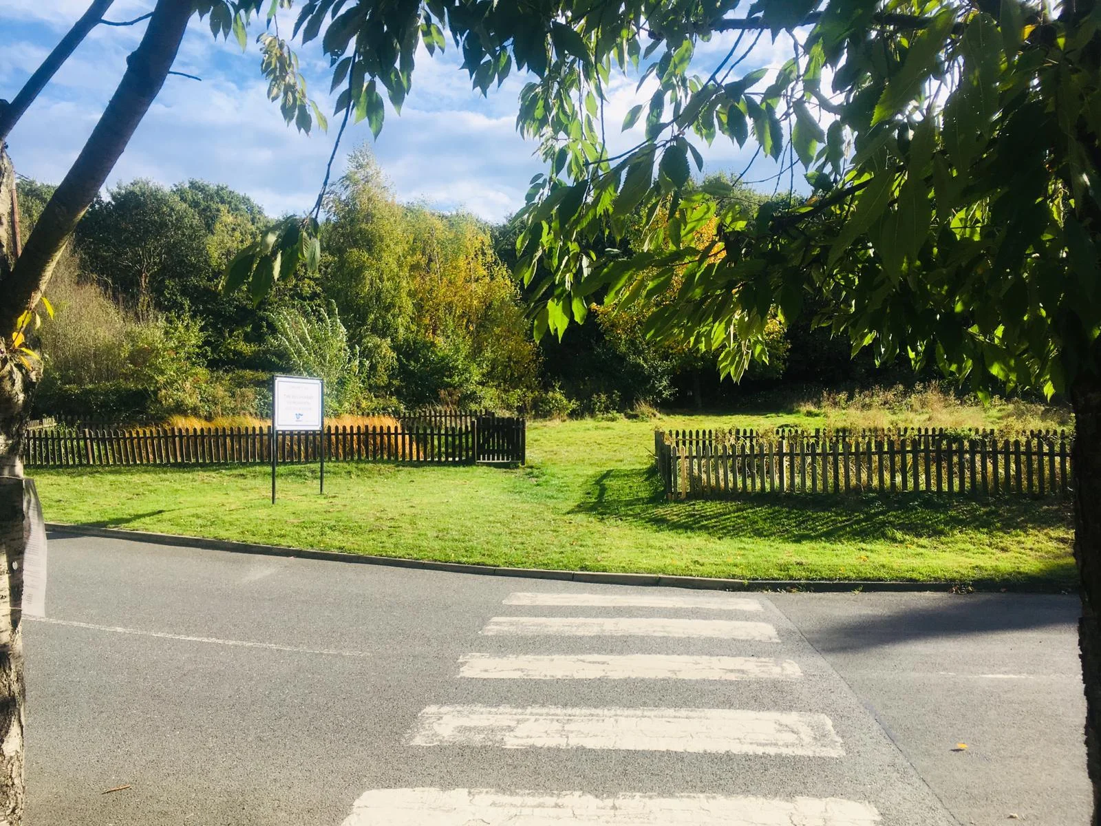 We're environmentally friendly!